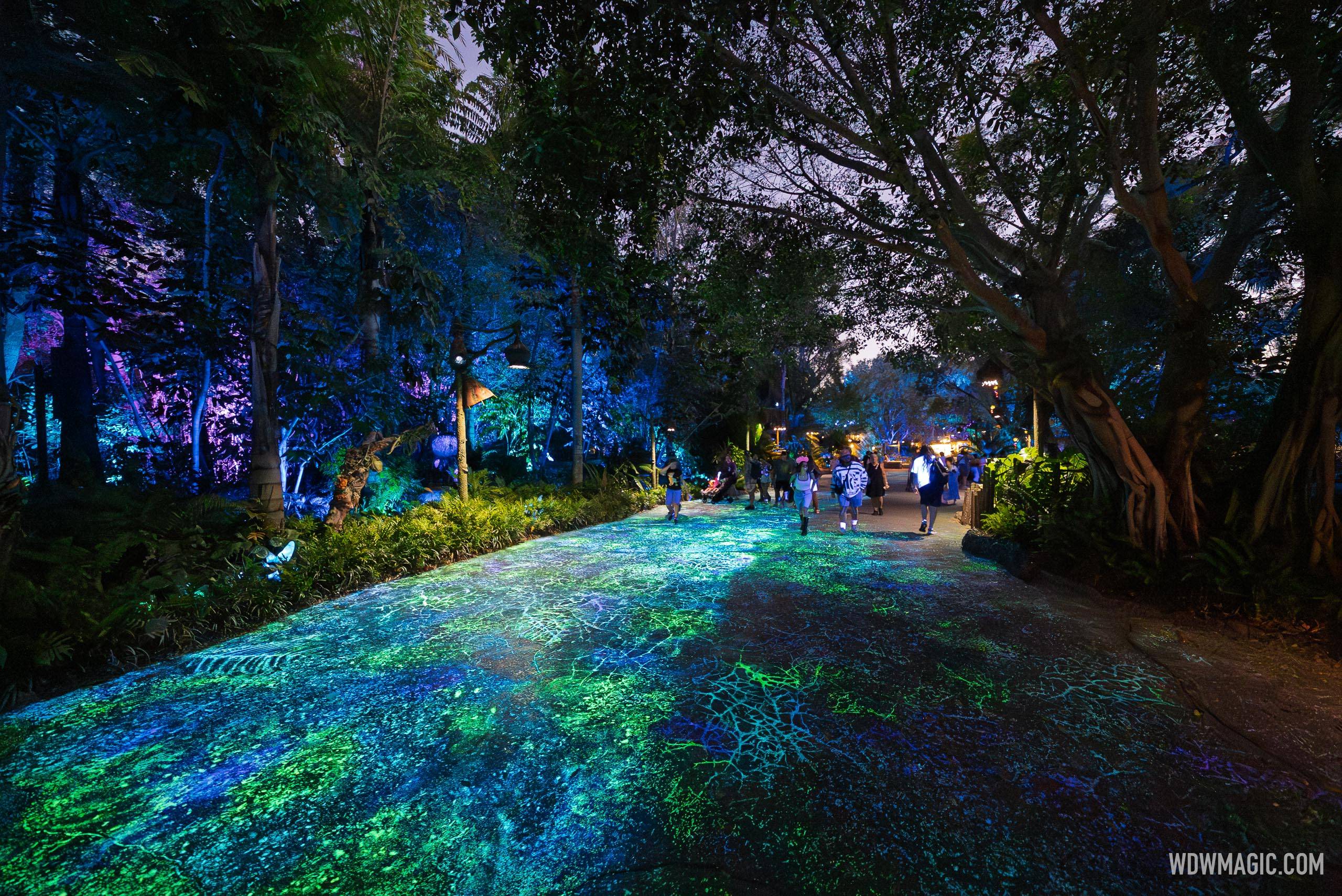 Pandora Walkway Bioluminescence Refurbishment - Before and After Photos - January 2026