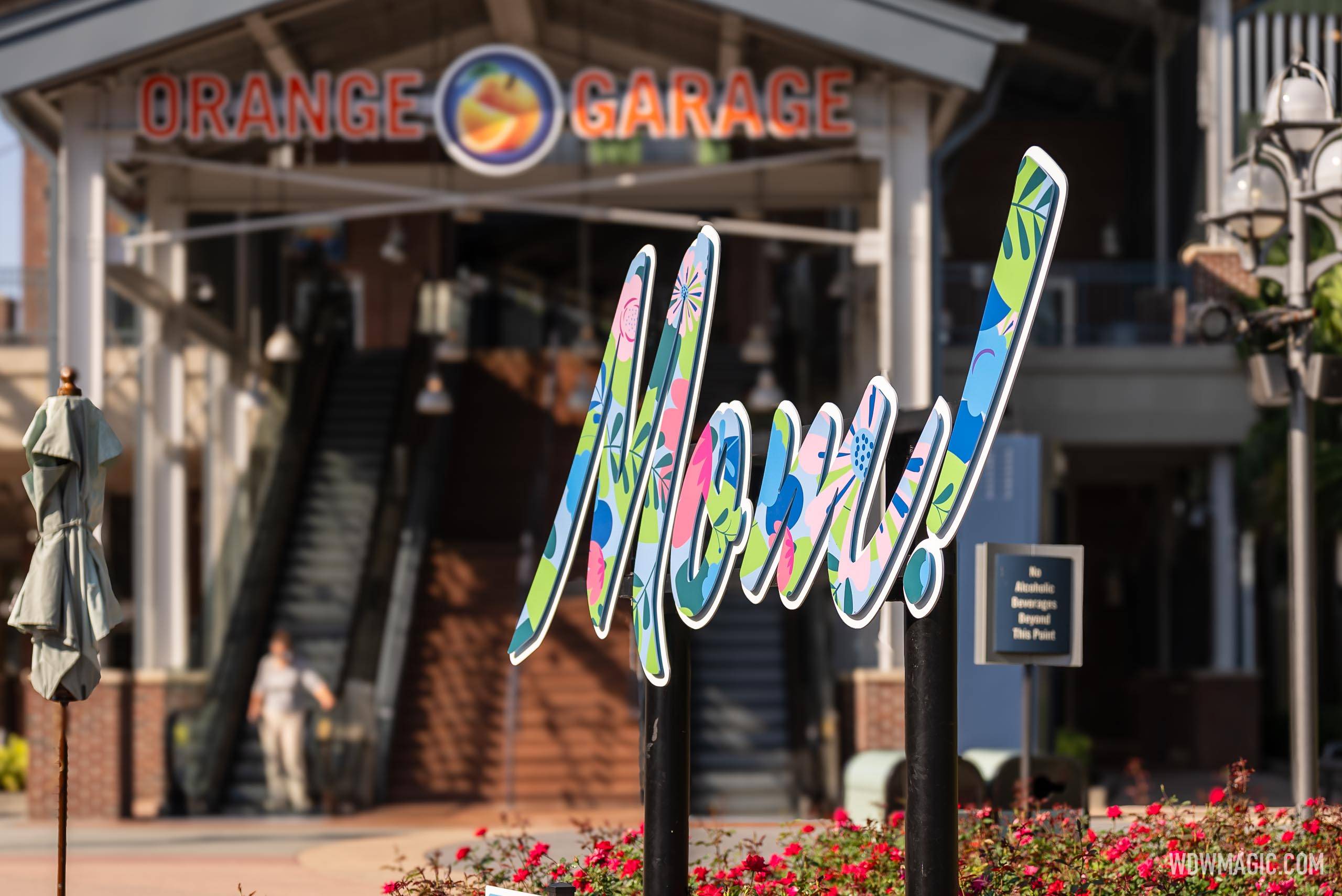Celebrate Mom at Disney Springs with a Unique Photo Spot and Complimentary Seeded Postcards