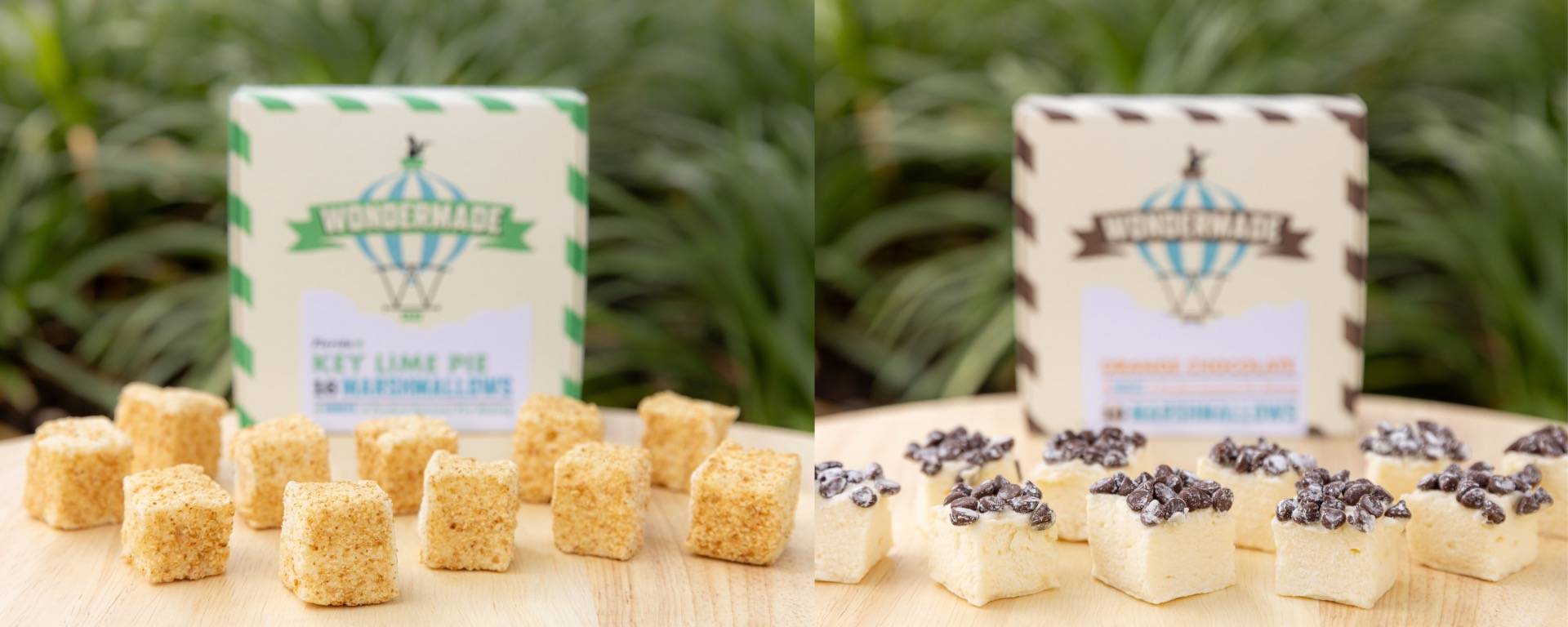 Guide to Flavors of Florida 2025 at Disney Springs: Menus, Highlights, and Photos