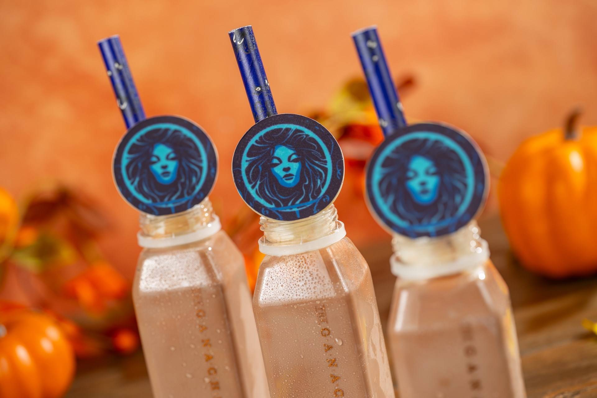 Pumpkin Spice Malted Chocolate Chiller