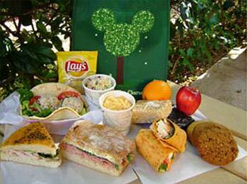 Animal Kingdom launches new category of dining - Picnic in the Park