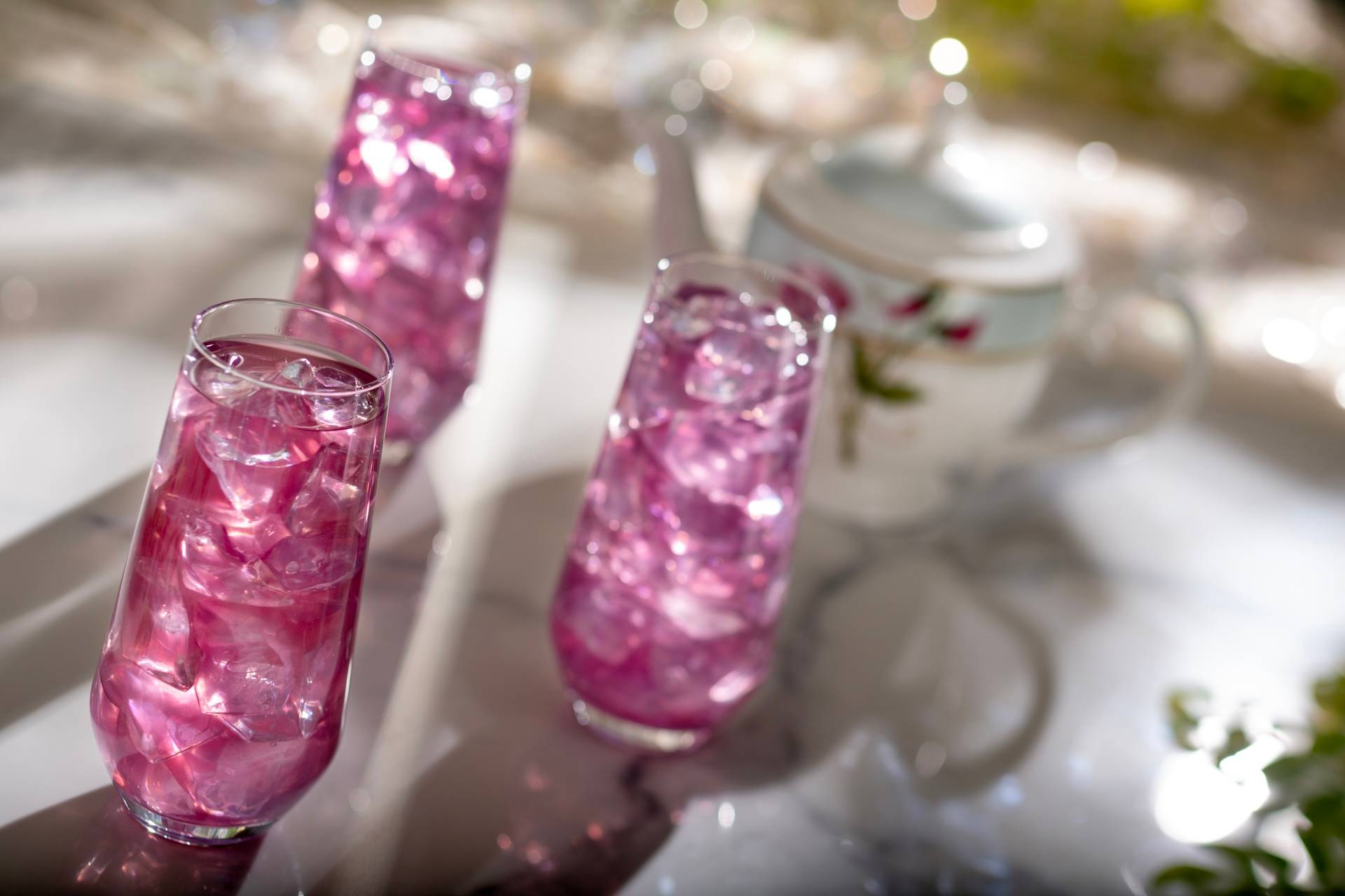 Garden View Lounge 2026 Reopening Food and Drink