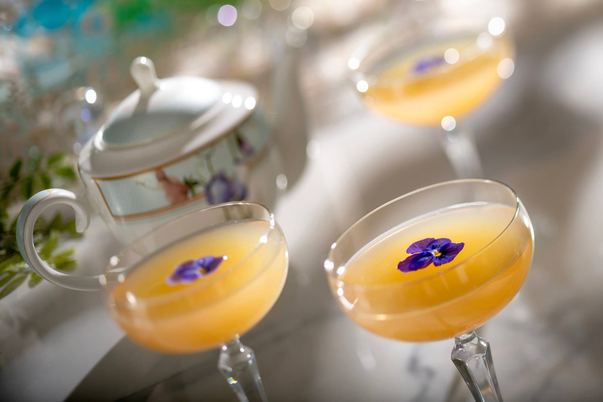 Garden View Lounge 2026 Reopening Food and Drink