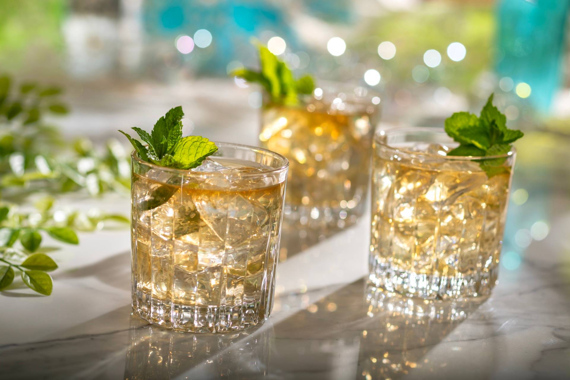 Garden View Lounge 2026 Reopening Food and Drink