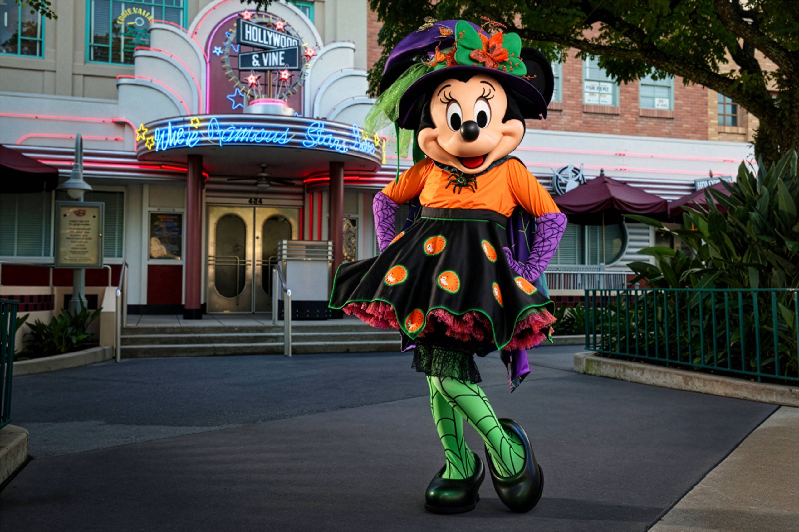 Hollywood and Vine Ends Disney Junior Character Meals as Minnie's Seasonal Dine Expands