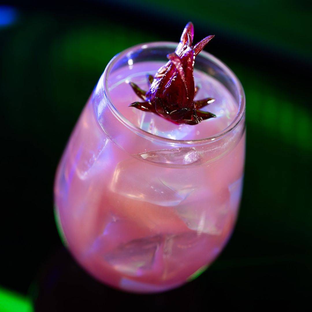 Nysillin and Bubbles with Brub Berry Essence: Empress 1908 Gin, St-Germain Elderflower Liqueur, and blueberry-lime juice topped with tonic water and garnished with an edible hibiscus flower