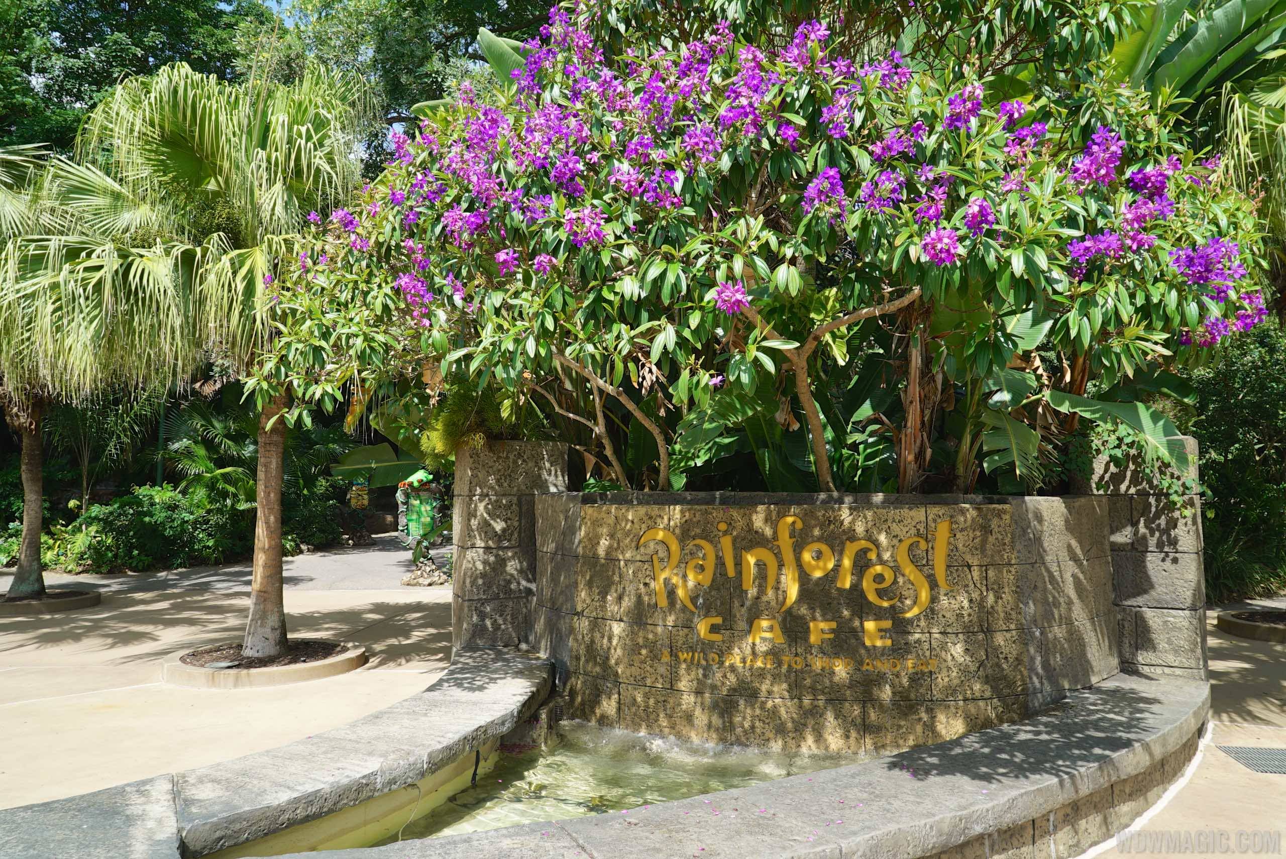 Rainforest Cafe - Main entrance