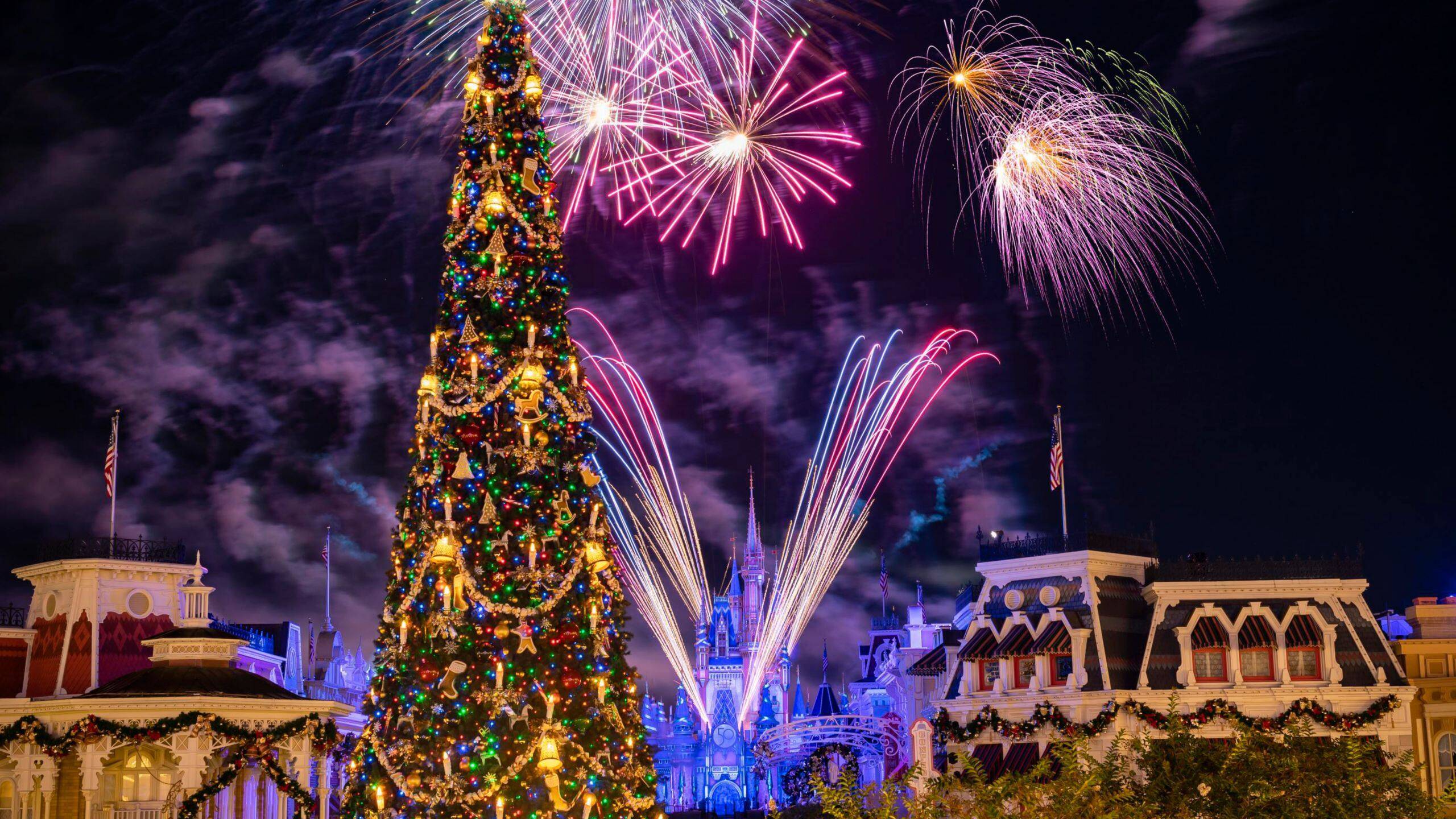 Fantasyland Castle Fireworks Mug