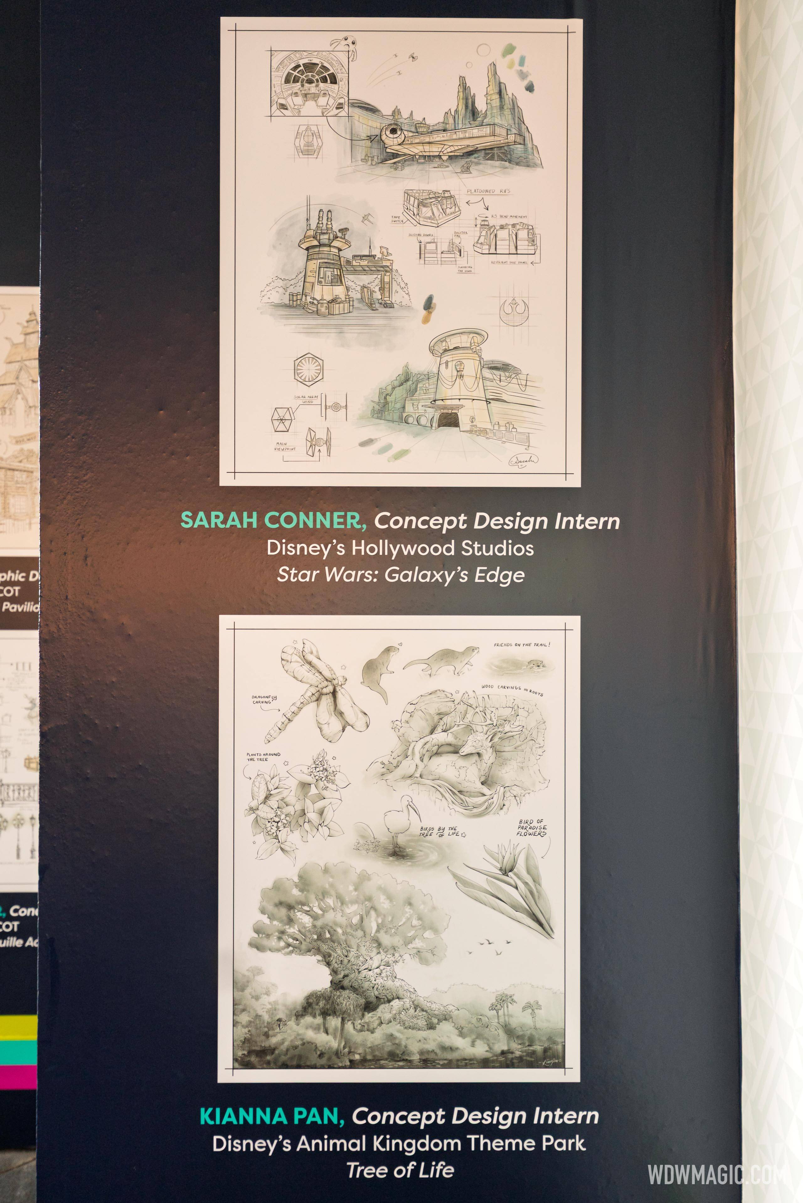 Drawing on Inspiration - Once Upon a Sketch Imagineering Concept Art Display