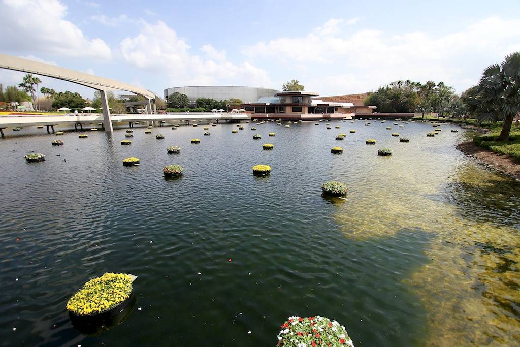There are 240 of these floating gardens throughout the park
