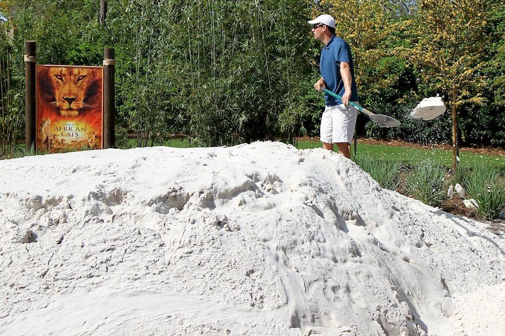 Sand sculptors preparing for another Disney Nature creation