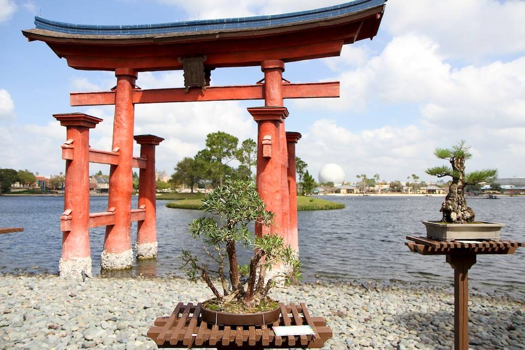 More of Japan's bonsai gardens