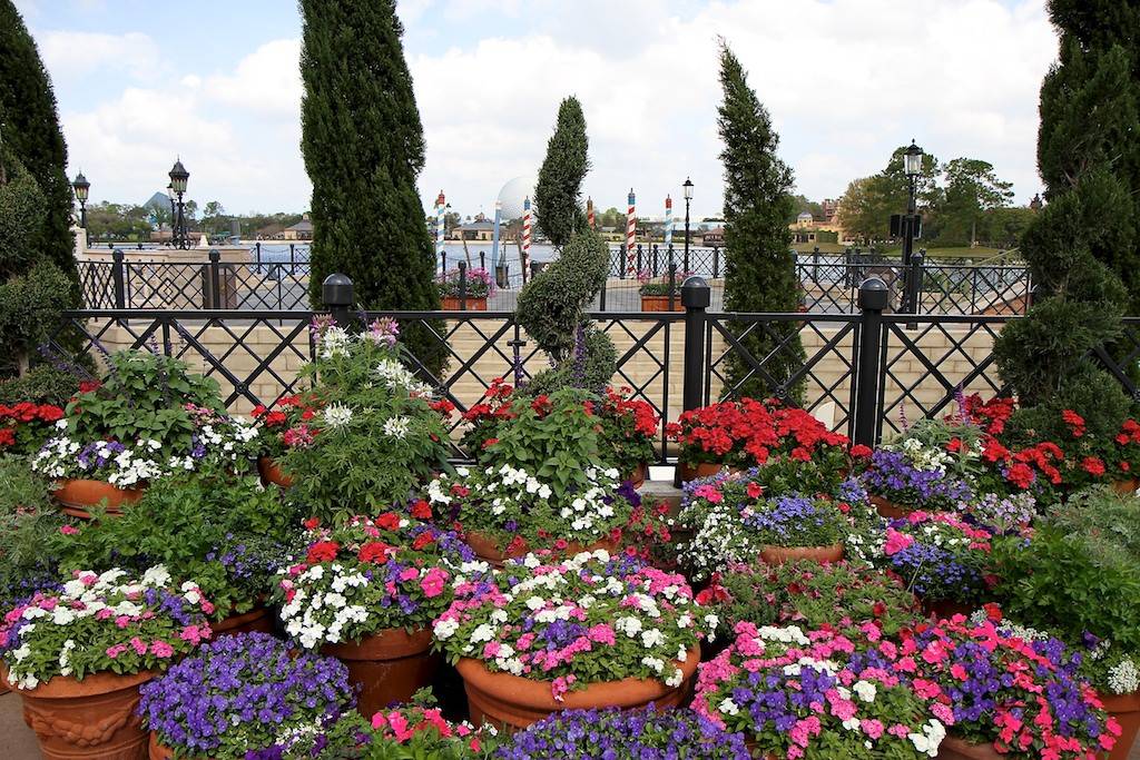 The Italy pavilion container gardens