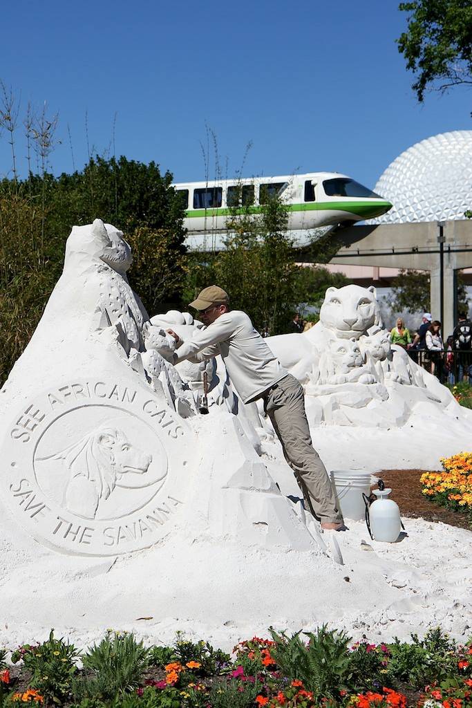 A look at the completed Disney Nature African Cats sand sculpture at Epcot