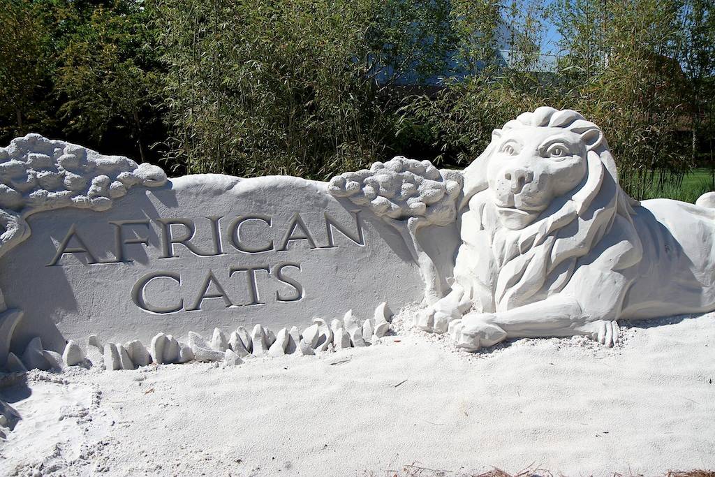 A look at the completed Disney Nature African Cats sand sculpture at Epcot