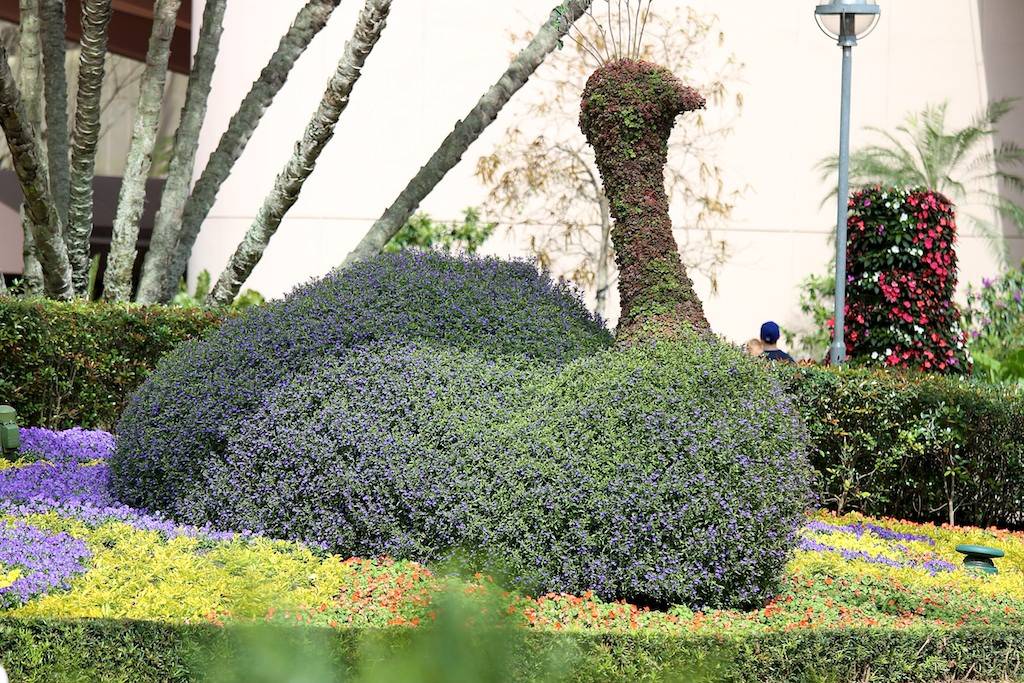 Topiary Peacock behind Spaceship Earth