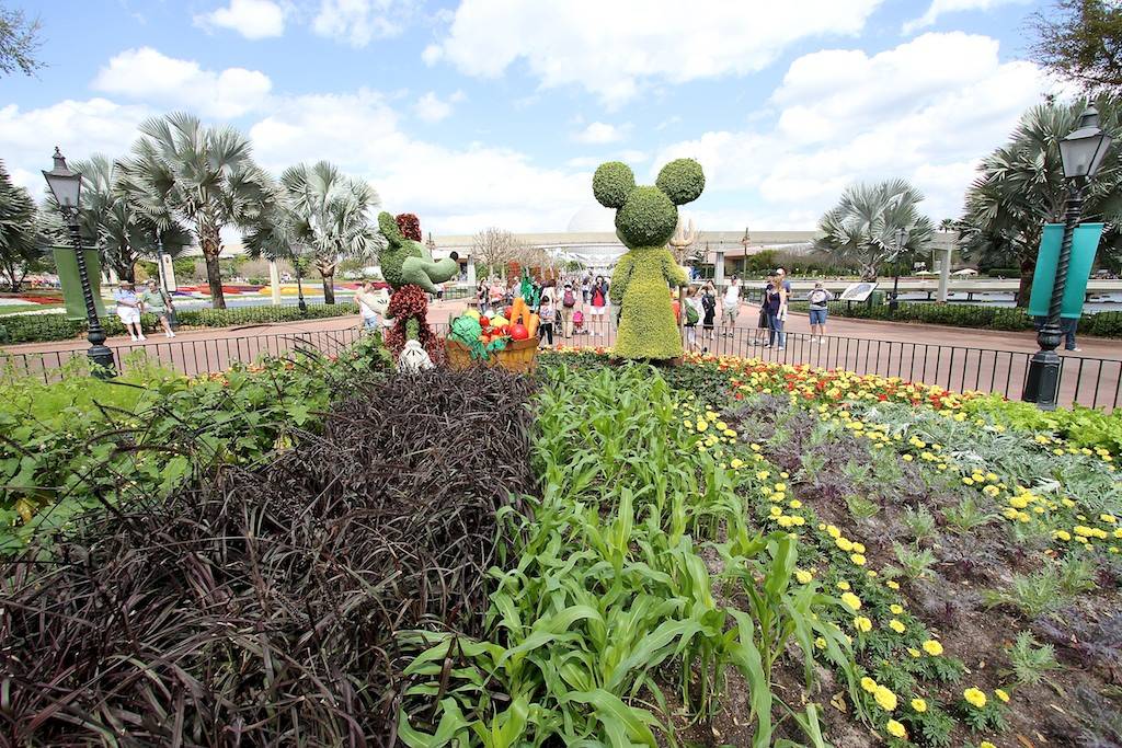 Farmer Mickey and Minnie Topiary