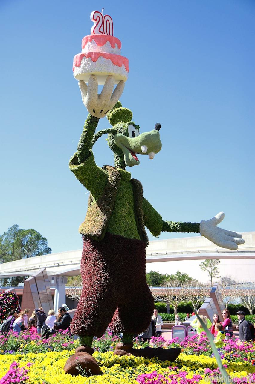 2013 Epcot Flower and Garden Festival - Goofy topiary celebrating 20 years of the festival