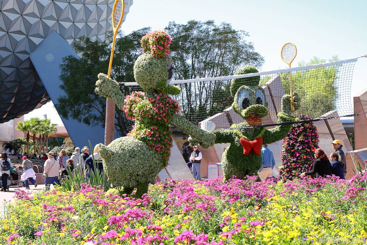 2013 Epcot Flower and Garden Festival - Donald and Daisy badminton topiary