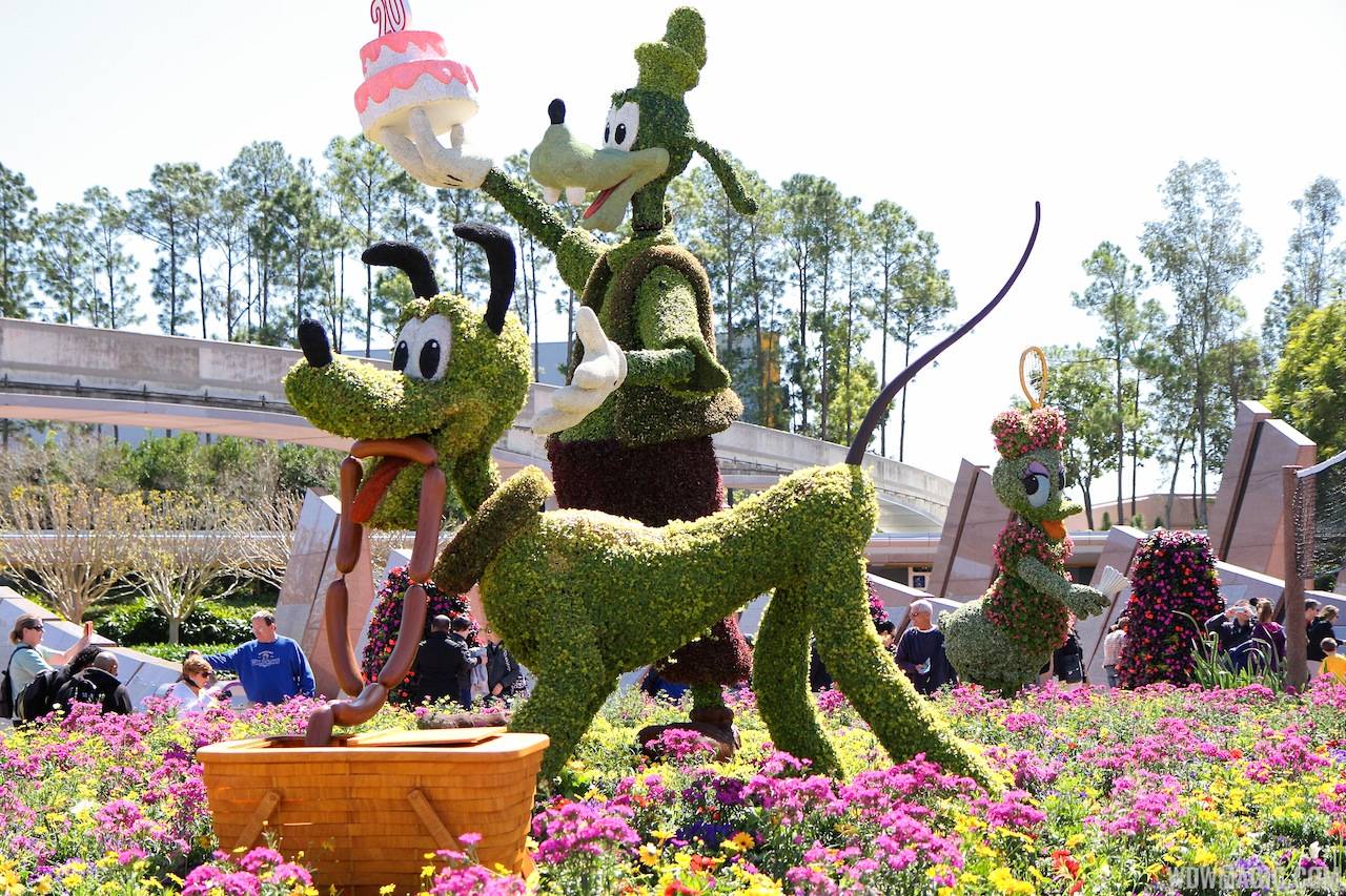 2013 Epcot Flower and Garden Festival - Goofy and Pluto topiary