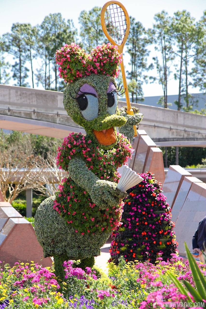 2013 Epcot Flower and Garden Festival - Daisy topiary