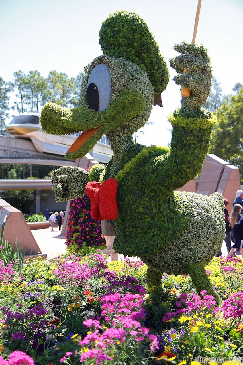 2013 Epcot Flower and Garden Festival - Donald topiary