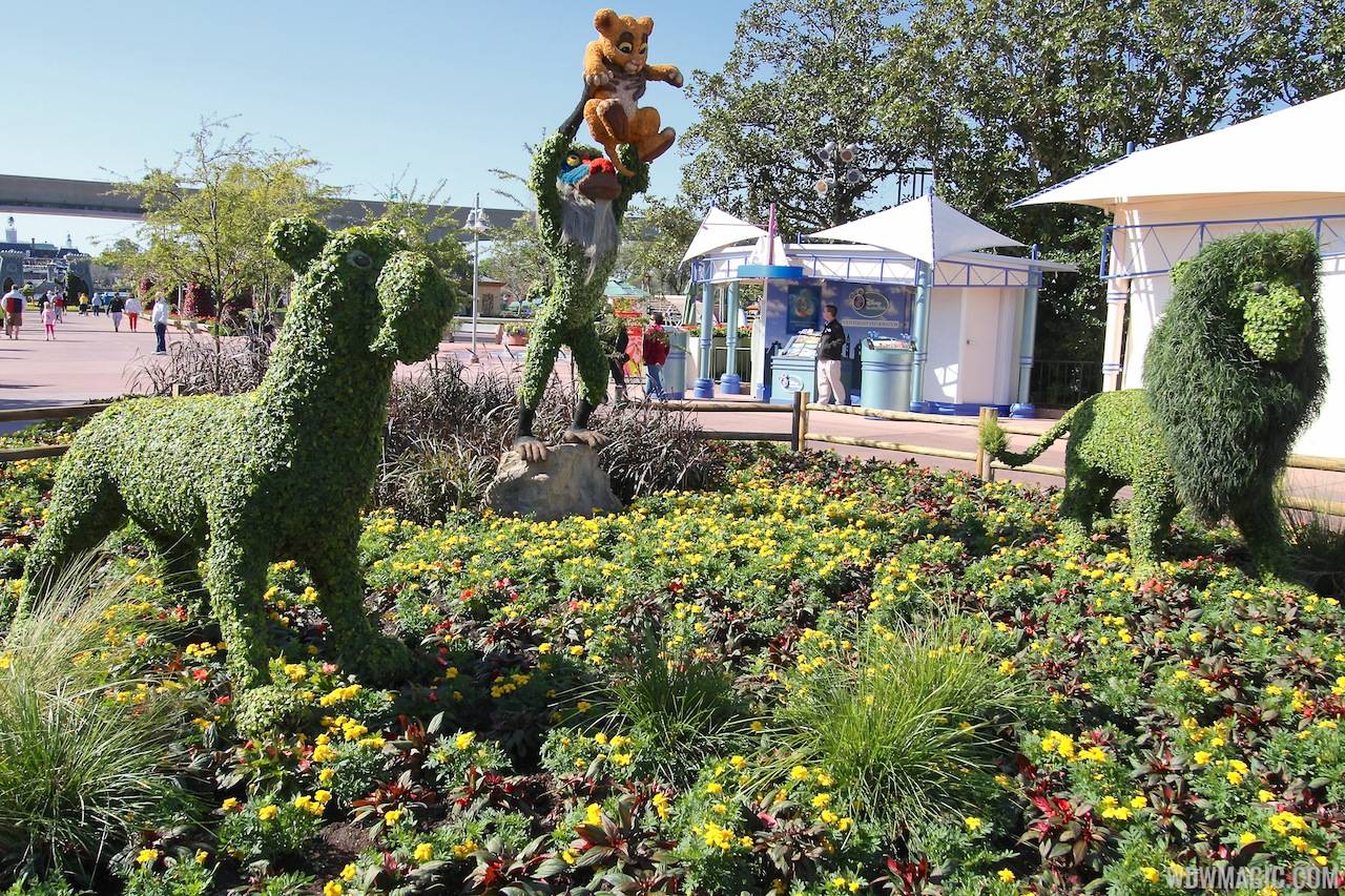 2013 Epcot Flower and Garden Festival - The Lion King topiary