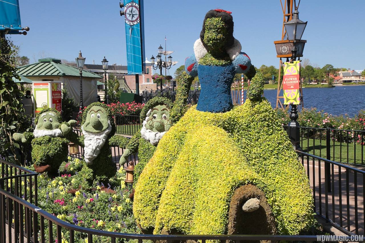 The old Snow White topiary from 2013
