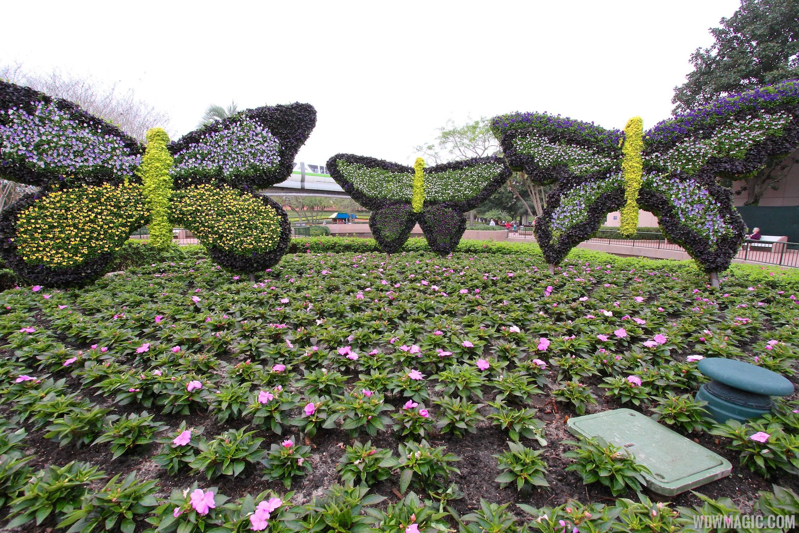 2014 Epcot Flower and Garden Festival - Butterfly topiary