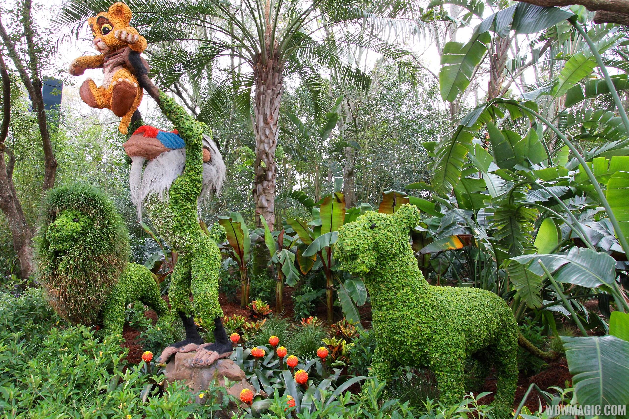 2014 Epcot Flower and Garden Festival - Lion King Rafiki and Simba topiary