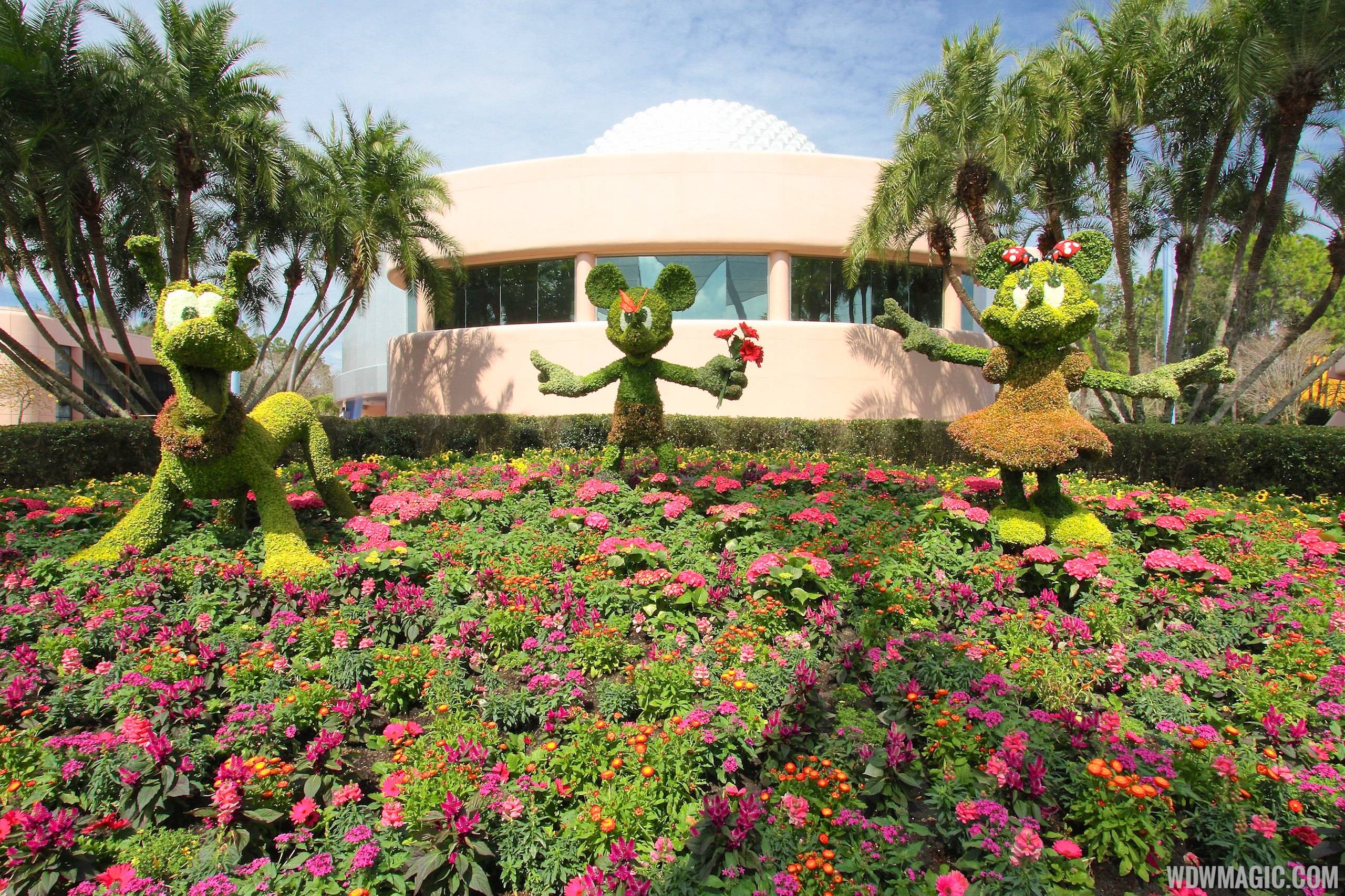 2014 Epcot Flower and Garden Festival - Mickey, Minnie and Pluto topiary
