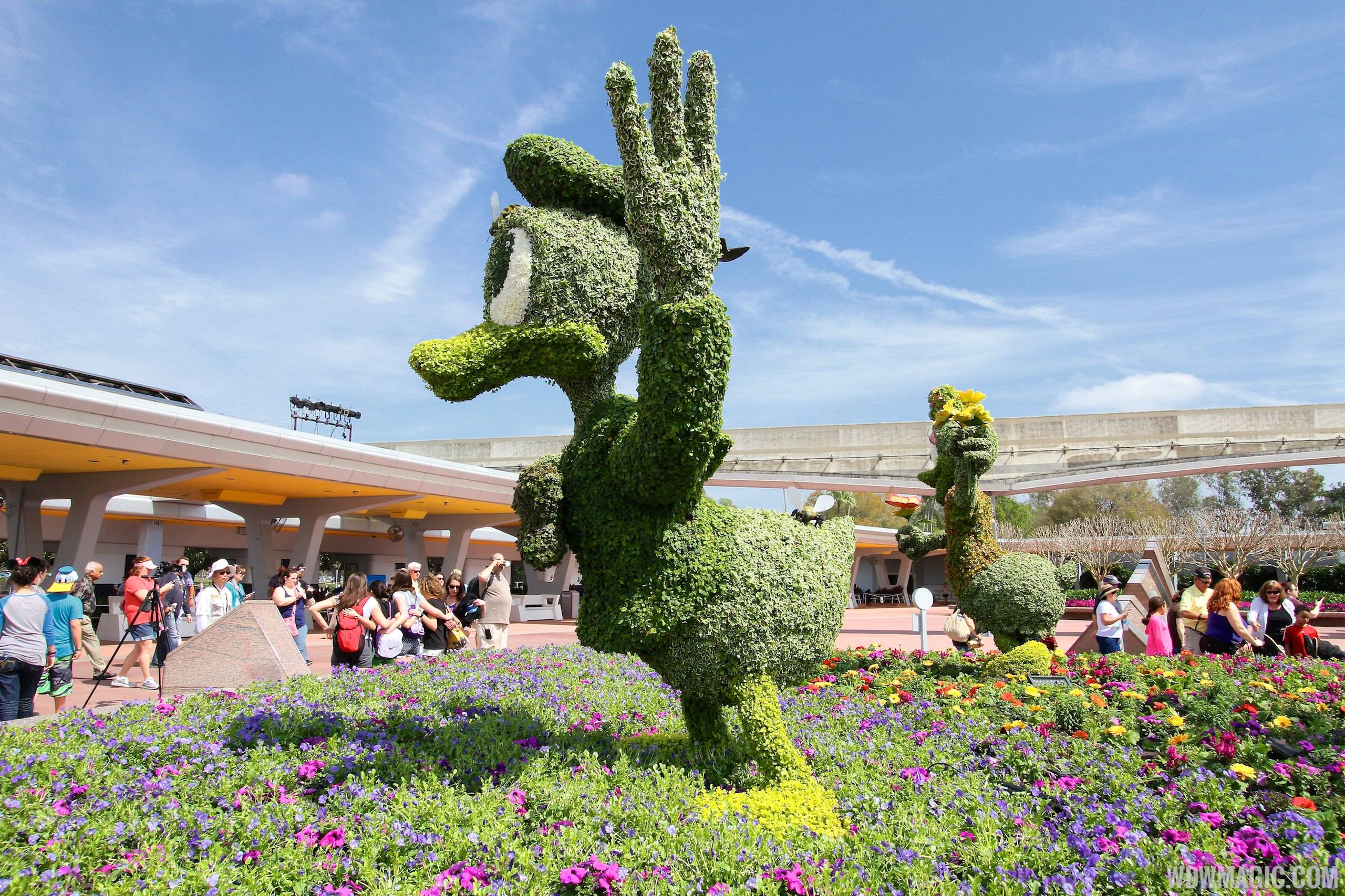 2014 Epcot Flower and Garden Festival - Main entrance topiary Donal Duck