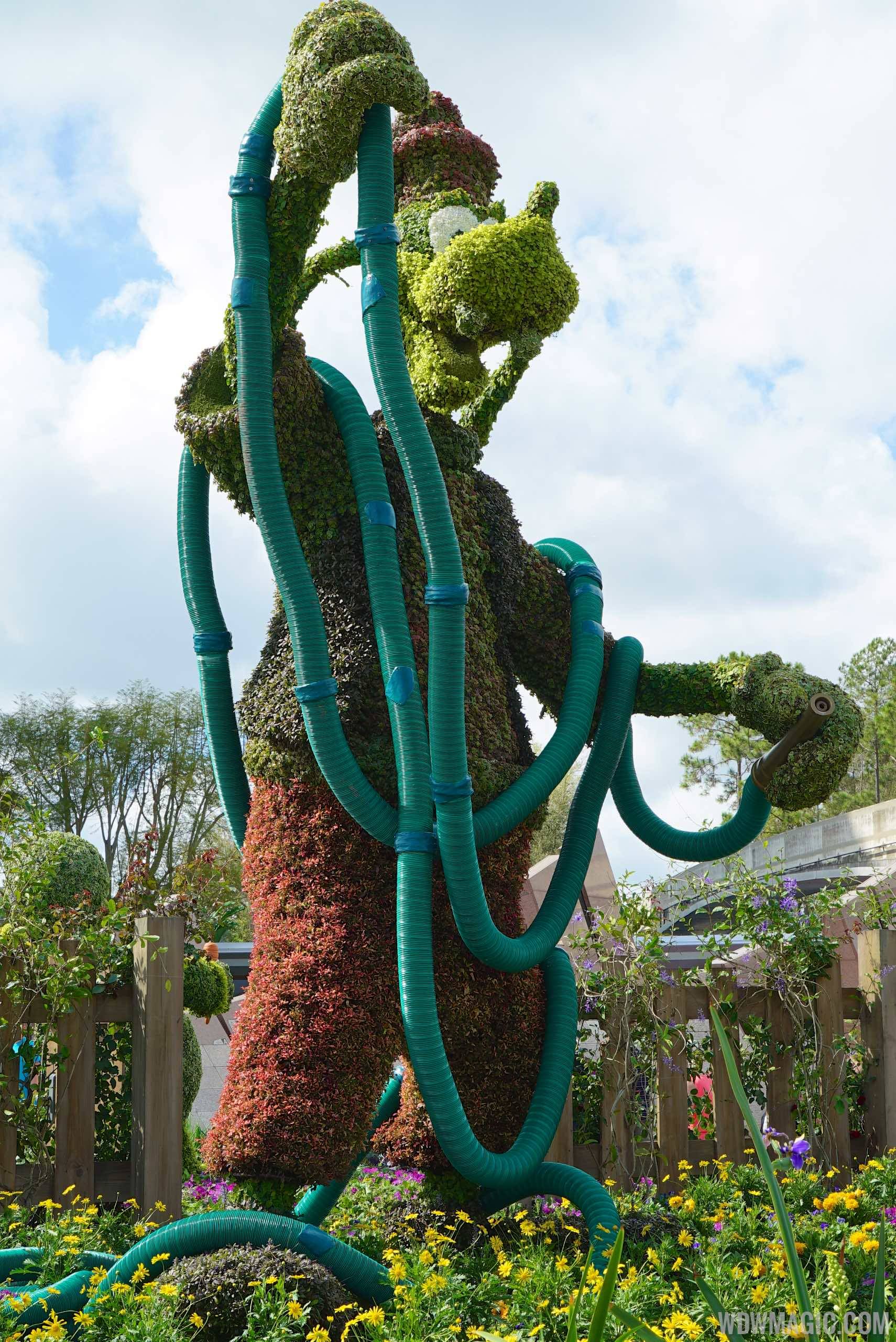 2015 Epcot Flower and Garden Festival - Goofy topiary