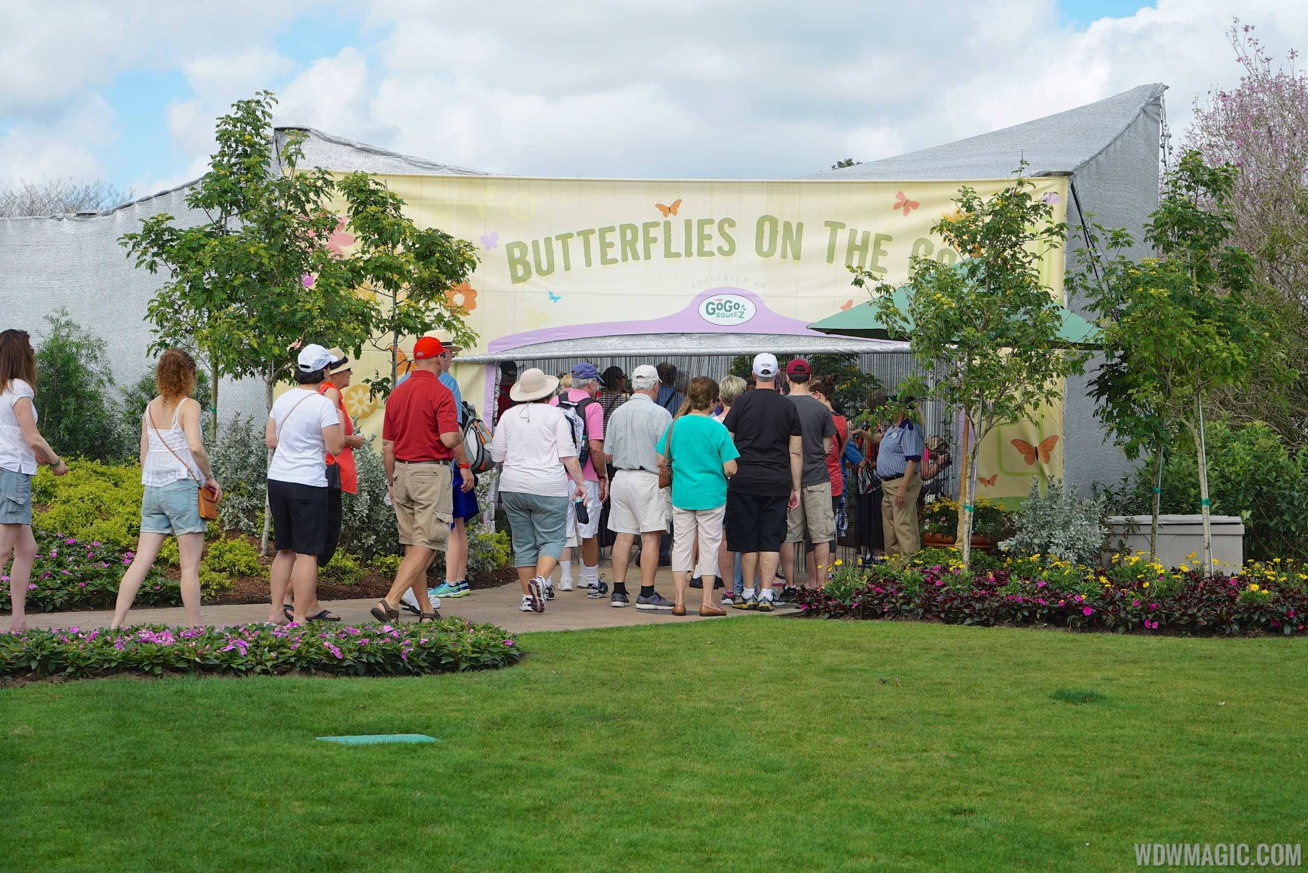 2015 Epcot Flower and Garden Festival - Butterfly Garden