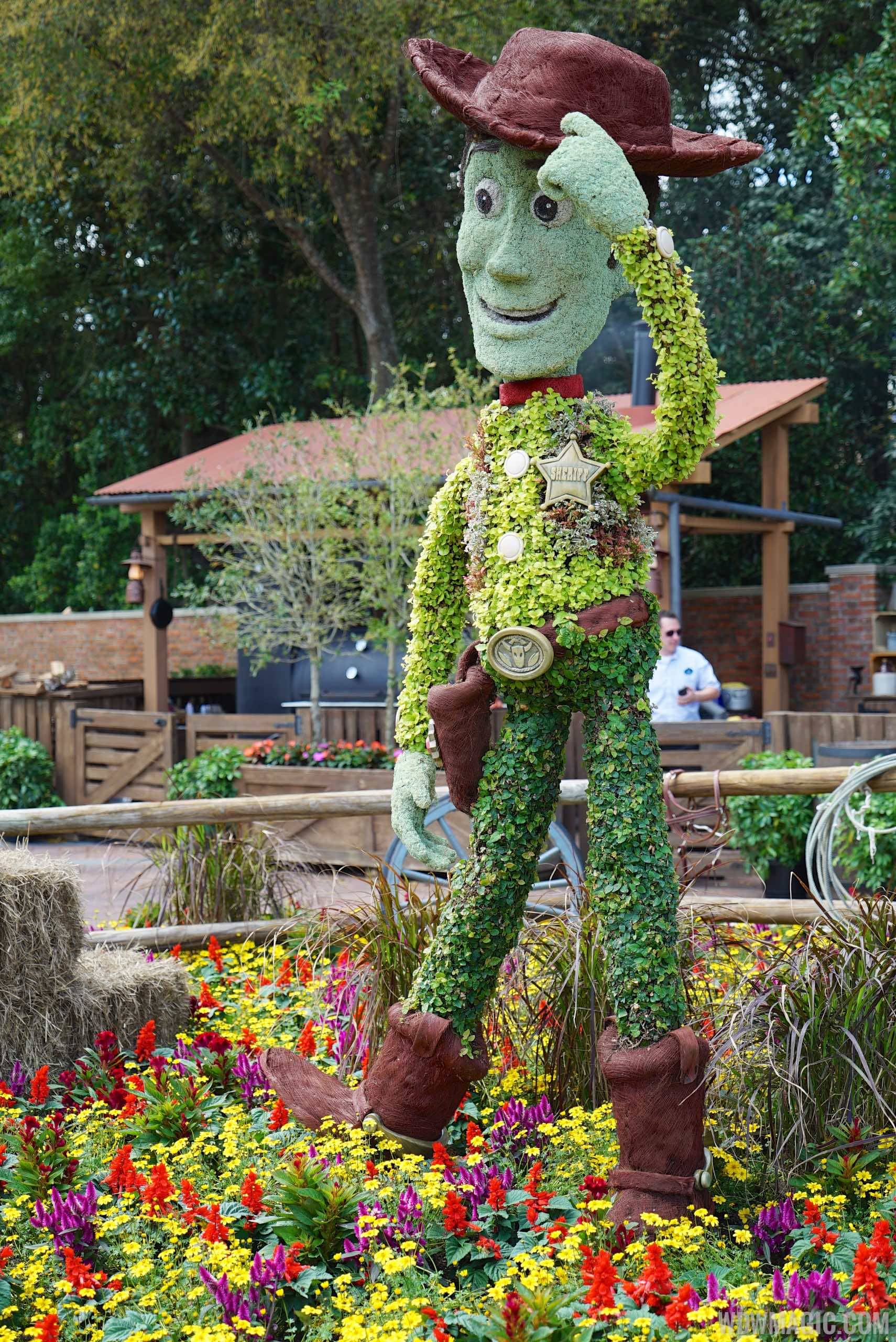 2015 Epcot Flower and Garden Festival - Woody topiary