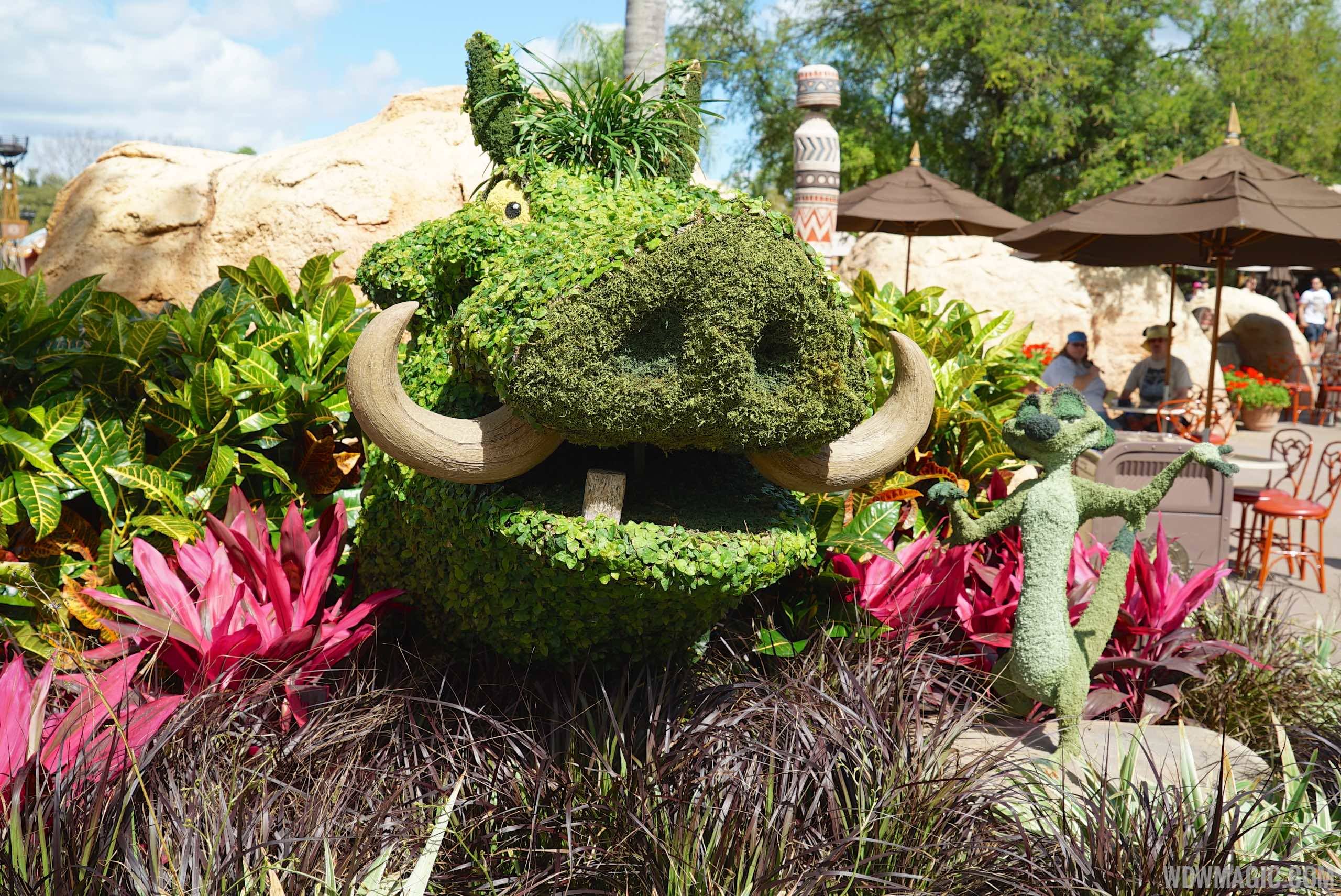 2015 Epcot Flower and Garden Festival - Timon and Pumba topiary