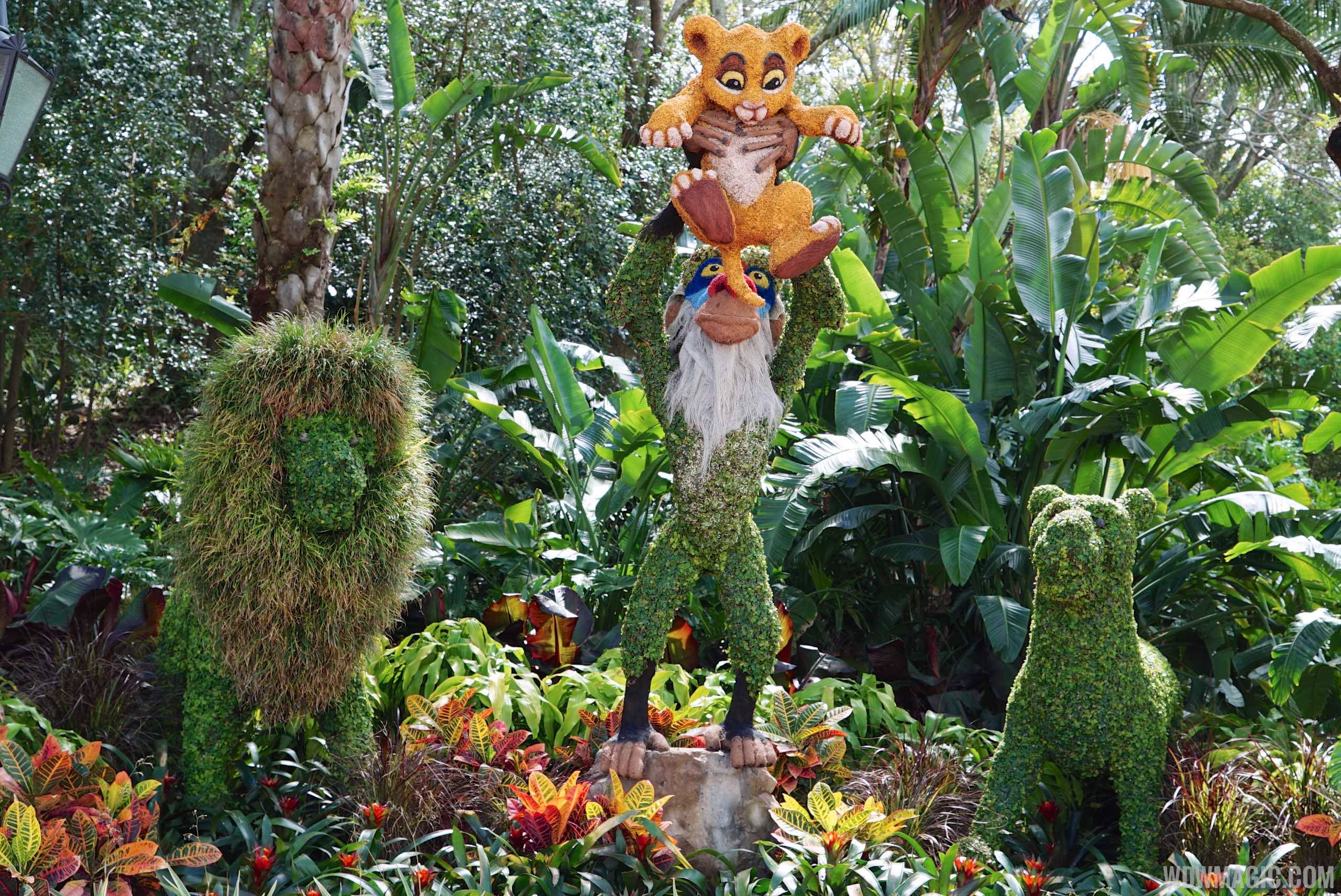 2015 Epcot Flower and Garden Festival - Lion King topiary