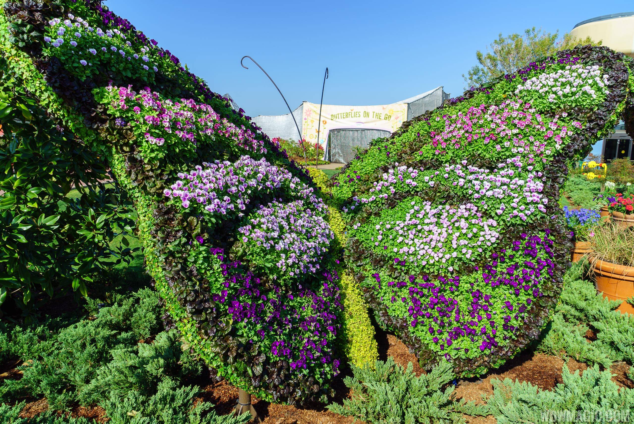 2016 Epcot International Flower and Garden Festival - Butterflies on the Go