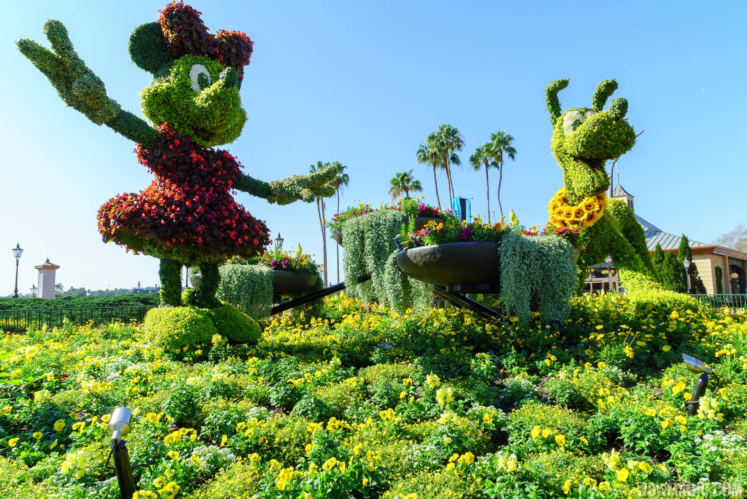 2016 Epcot International Flower and Garden Festival - Minnie Mouse and Pluto topiaries