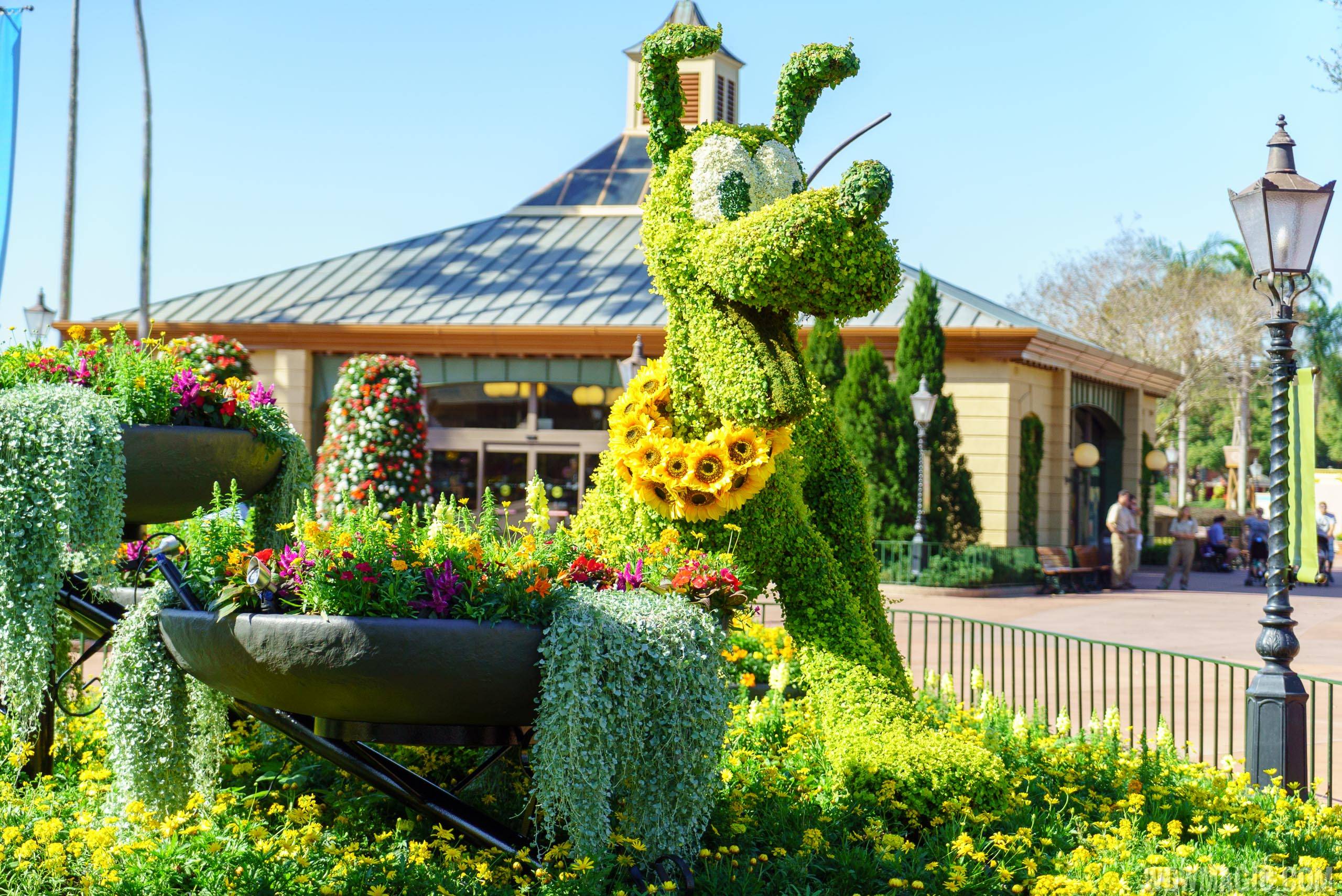 2016 Epcot International Flower and Garden Festival - Pluto topiary
