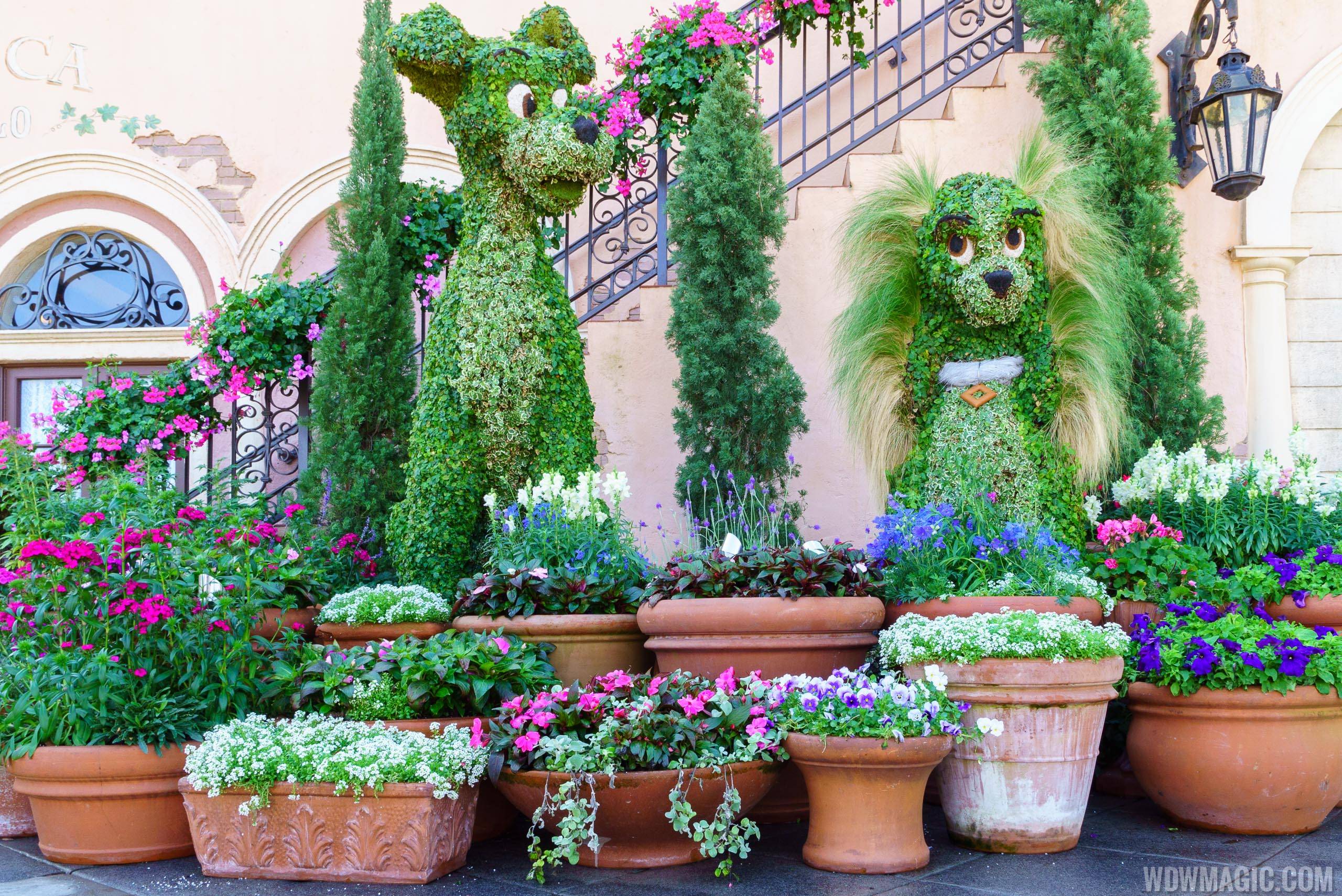 2016 Epcot International Flower and Garden Festival - Lady and the Tramp topiary