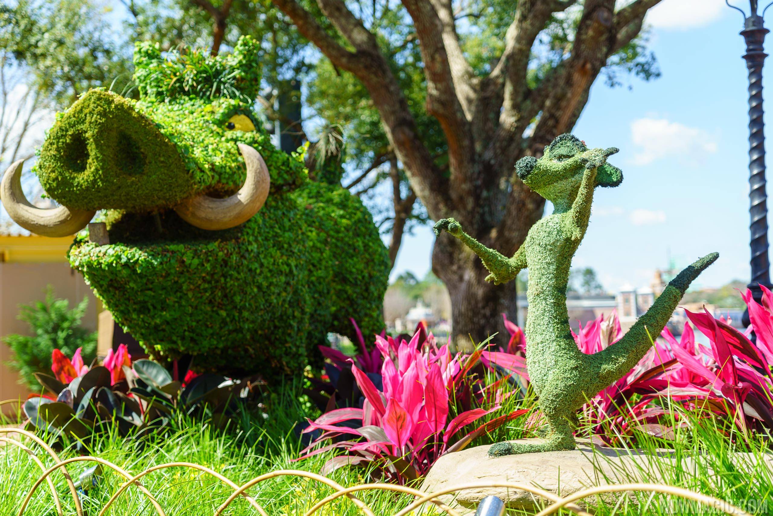 2016 Epcot International Flower and Garden Festival - Timon and Pumba topiaries