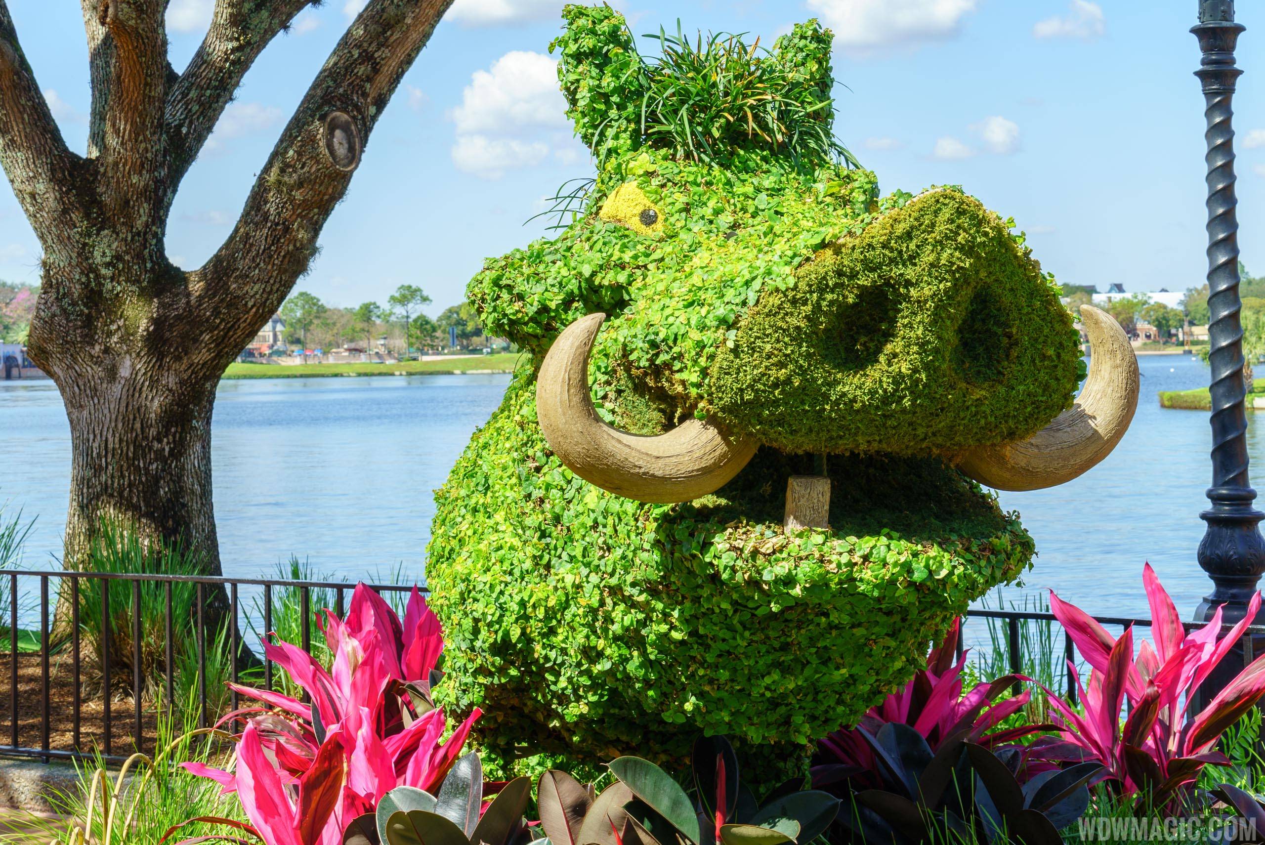 2016 Epcot International Flower and Garden Festival - Pumba topiary