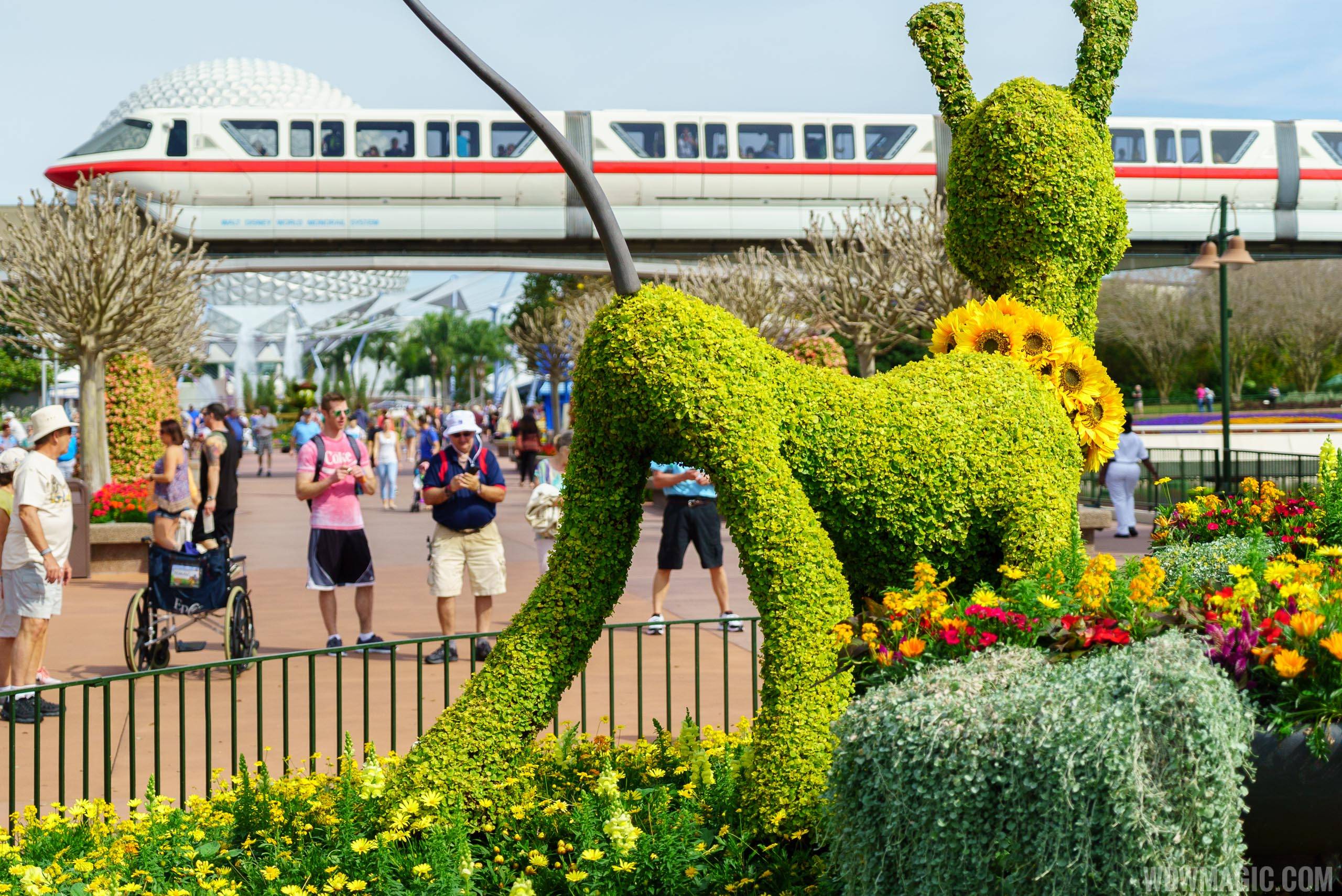 2016 Epcot International Flower and Garden Festival - Pluto topiary