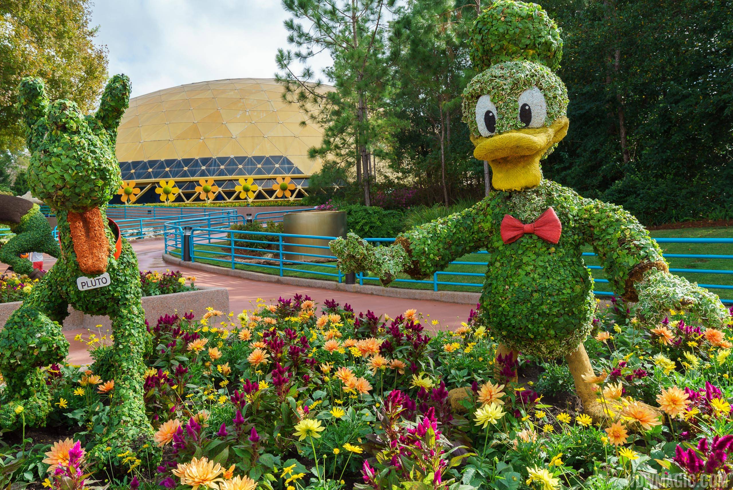 2017 Flower and Garden Festival - Donald Duck and Pluto topiaries