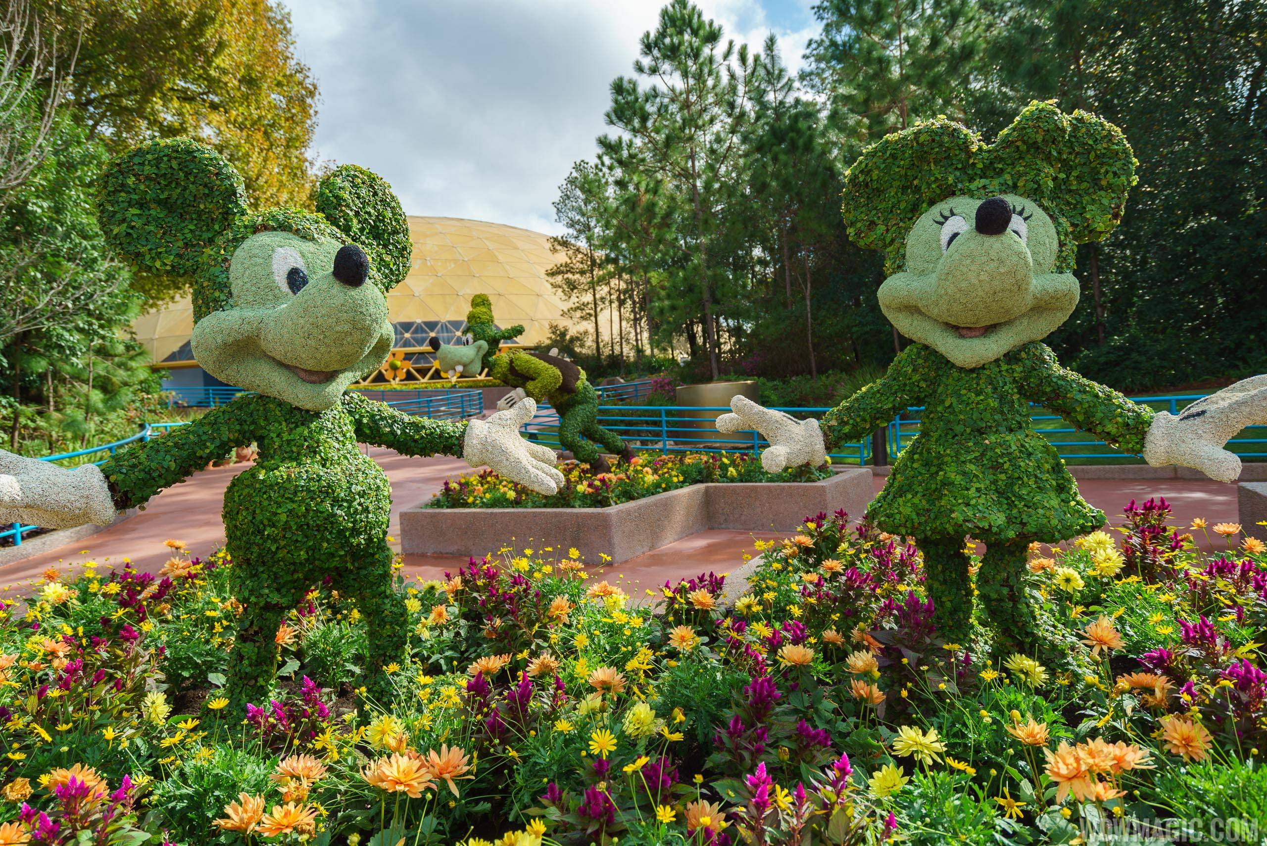 2017 Flower and Garden Festival - Mickey and Minnie topiary