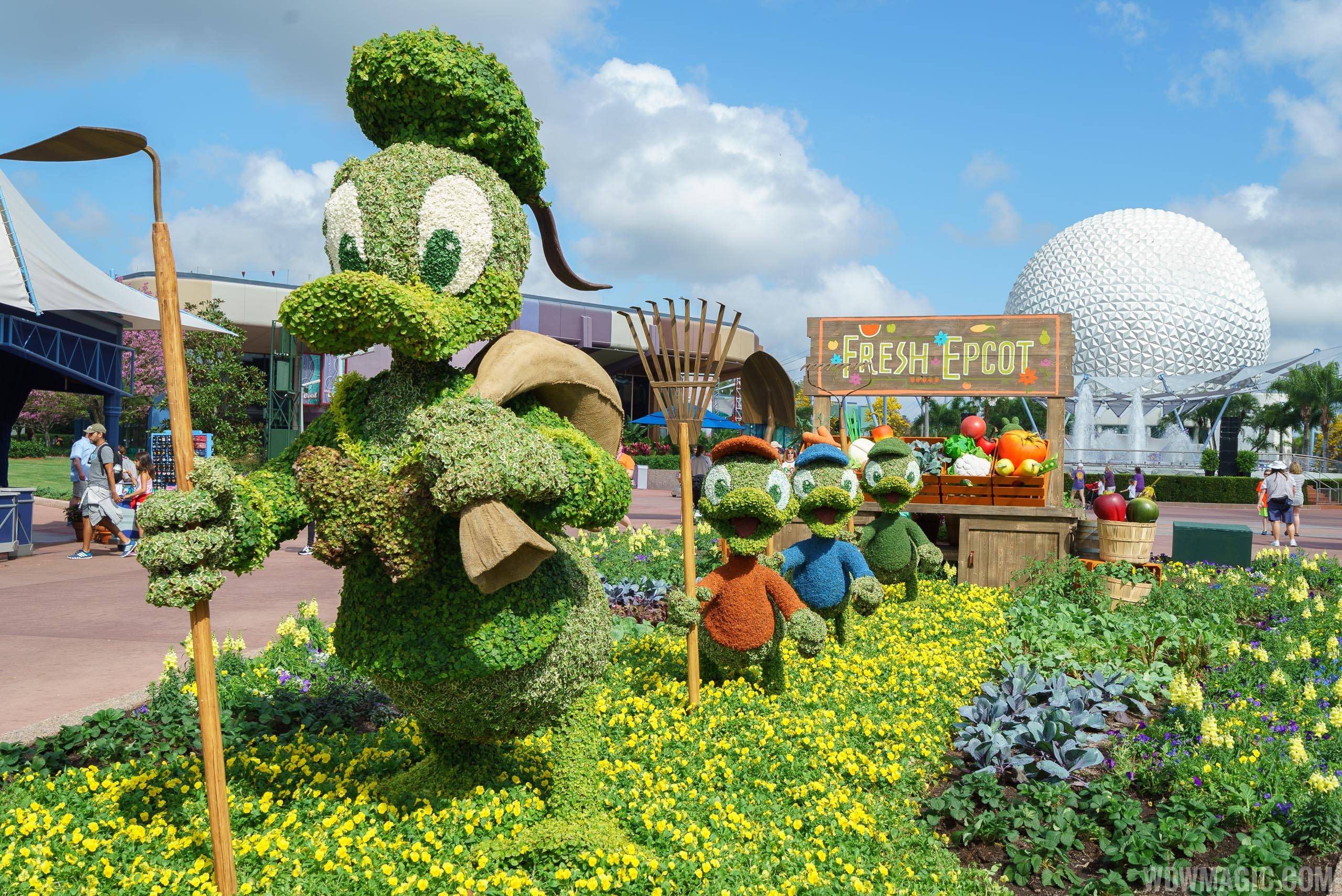 2017 Flower and Garden Festival - Donald Duck, Huey, Dewy and Louie topiaries