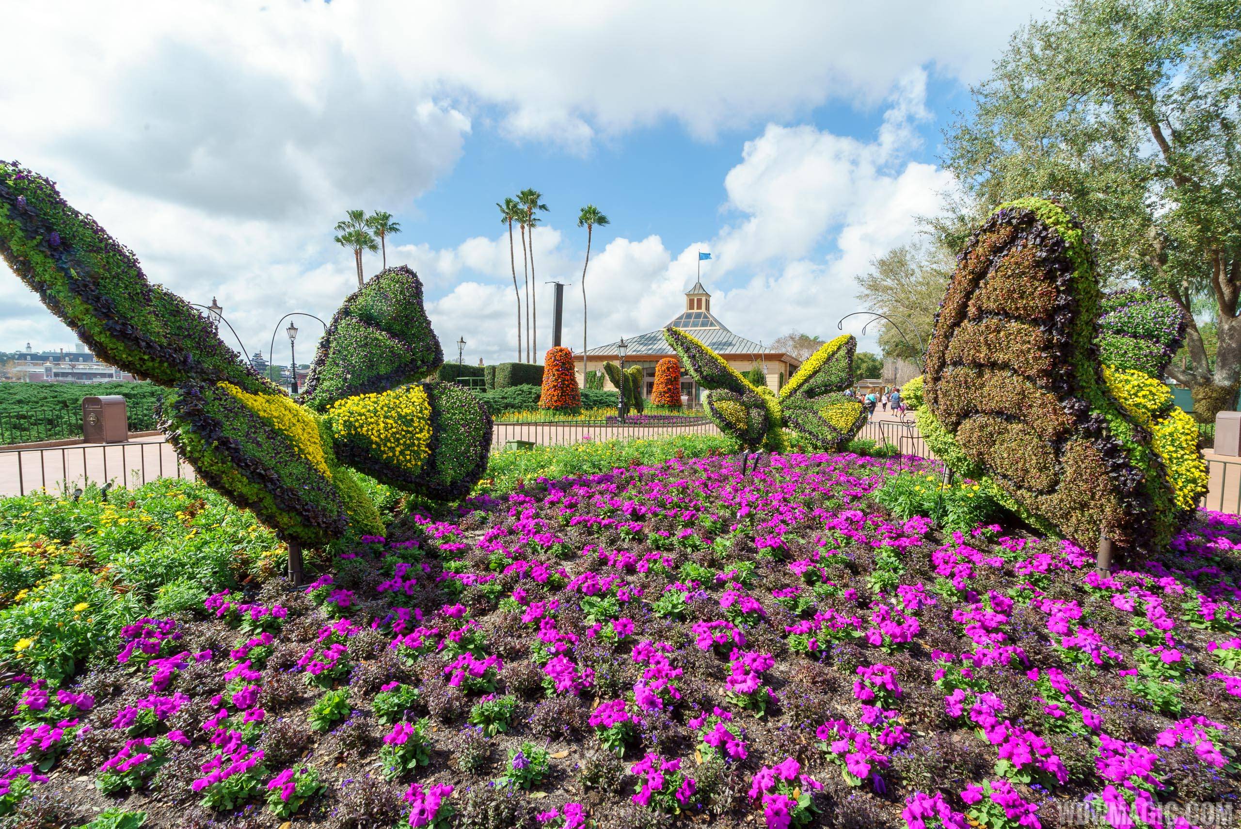 PHOTOS - 2017 Epcot International Flower and Garden Festival