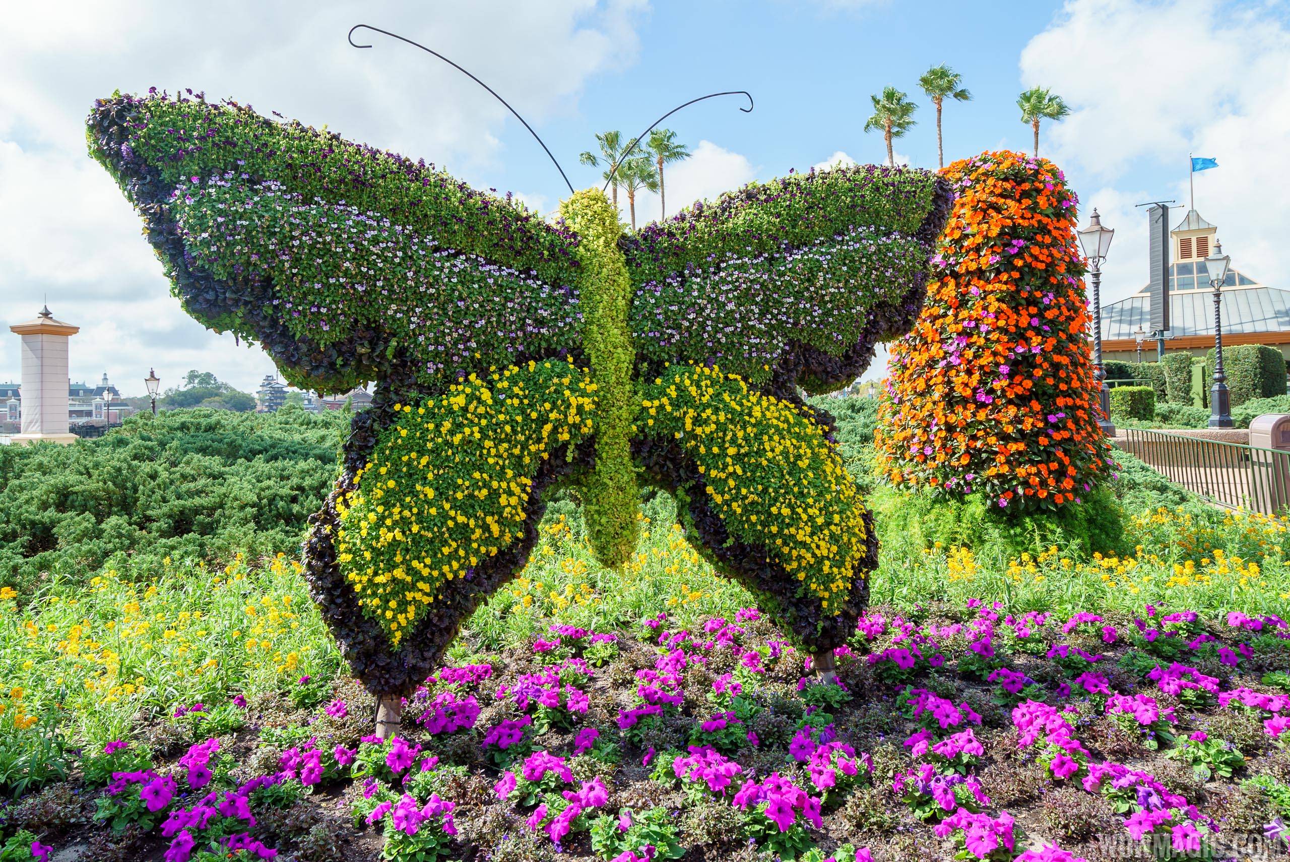 2017 Flower and Garden Festival - Butterfly topiary in Showcase Plaza