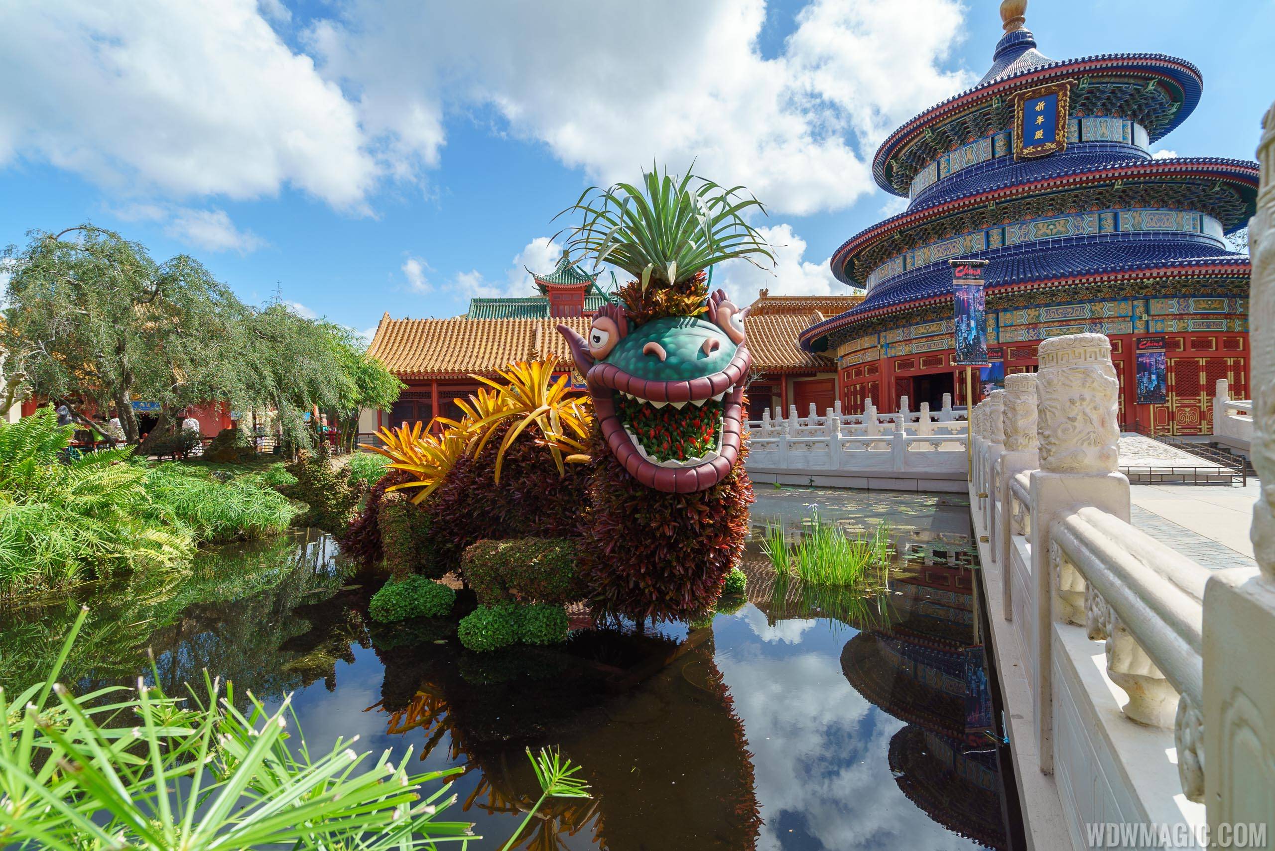 2017 Flower and Garden Festival - Bromeliad Dragon at China